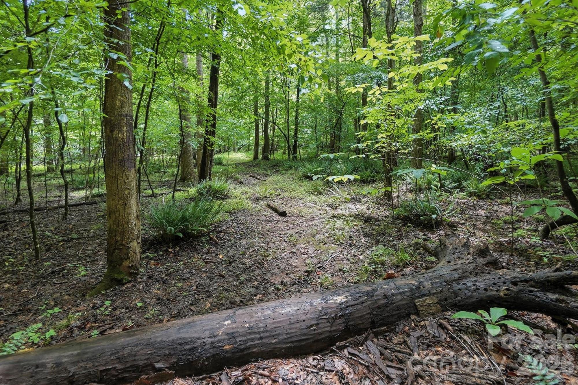 6 Hager Mountain Lane Property Photo 13