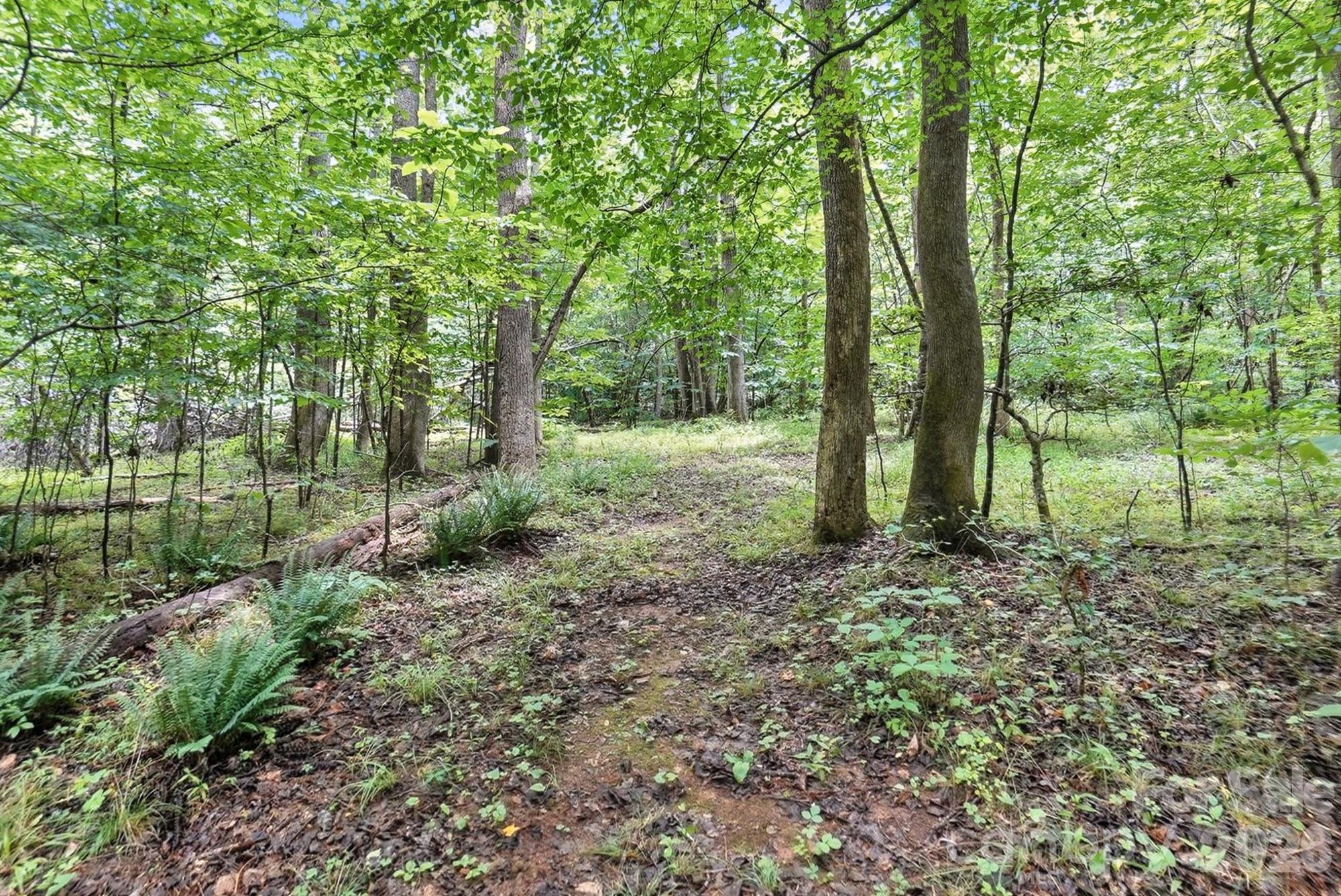 6 Hager Mountain Lane Property Photo 14