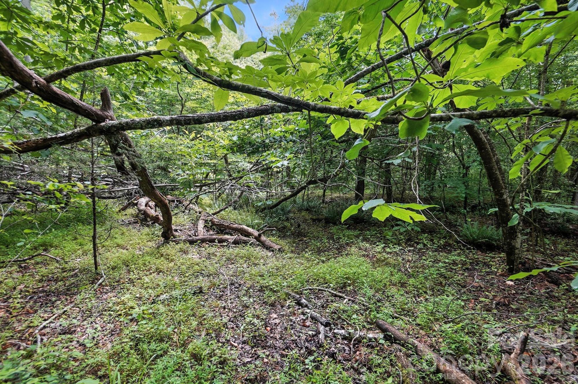 6 Hager Mountain Lane Property Photo 15