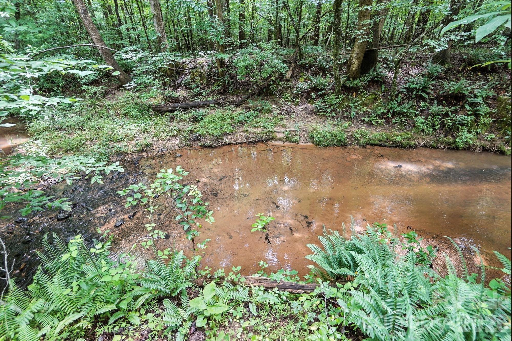 6 Hager Mountain Lane Property Photo 18