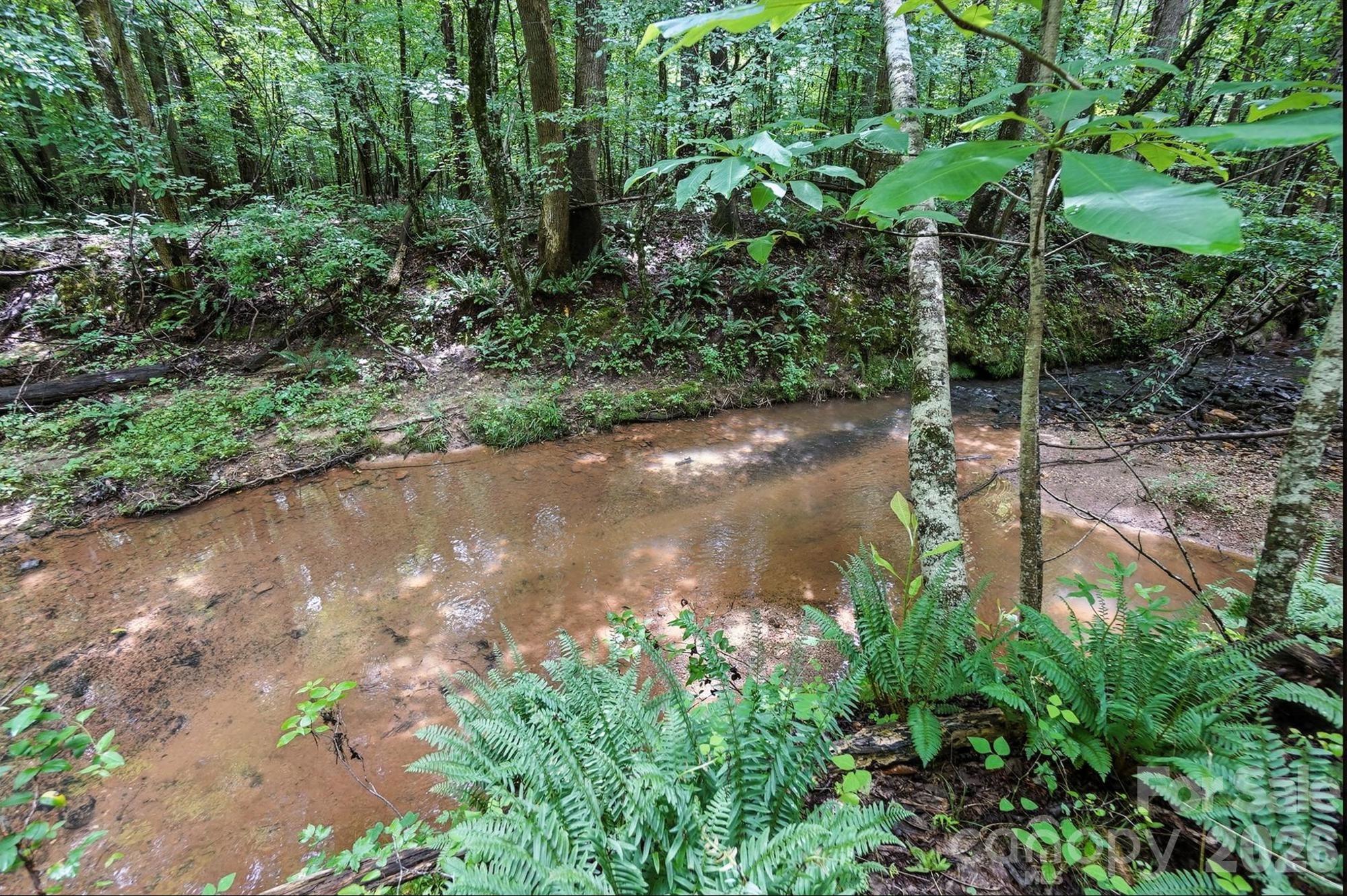 6 Hager Mountain Lane Property Photo 19