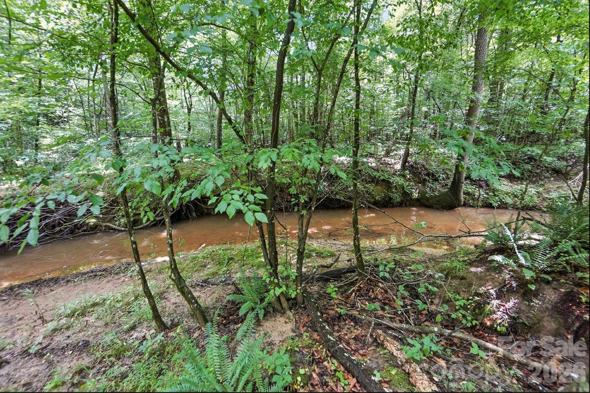 6 Hager Mountain Lane Property Photo 20