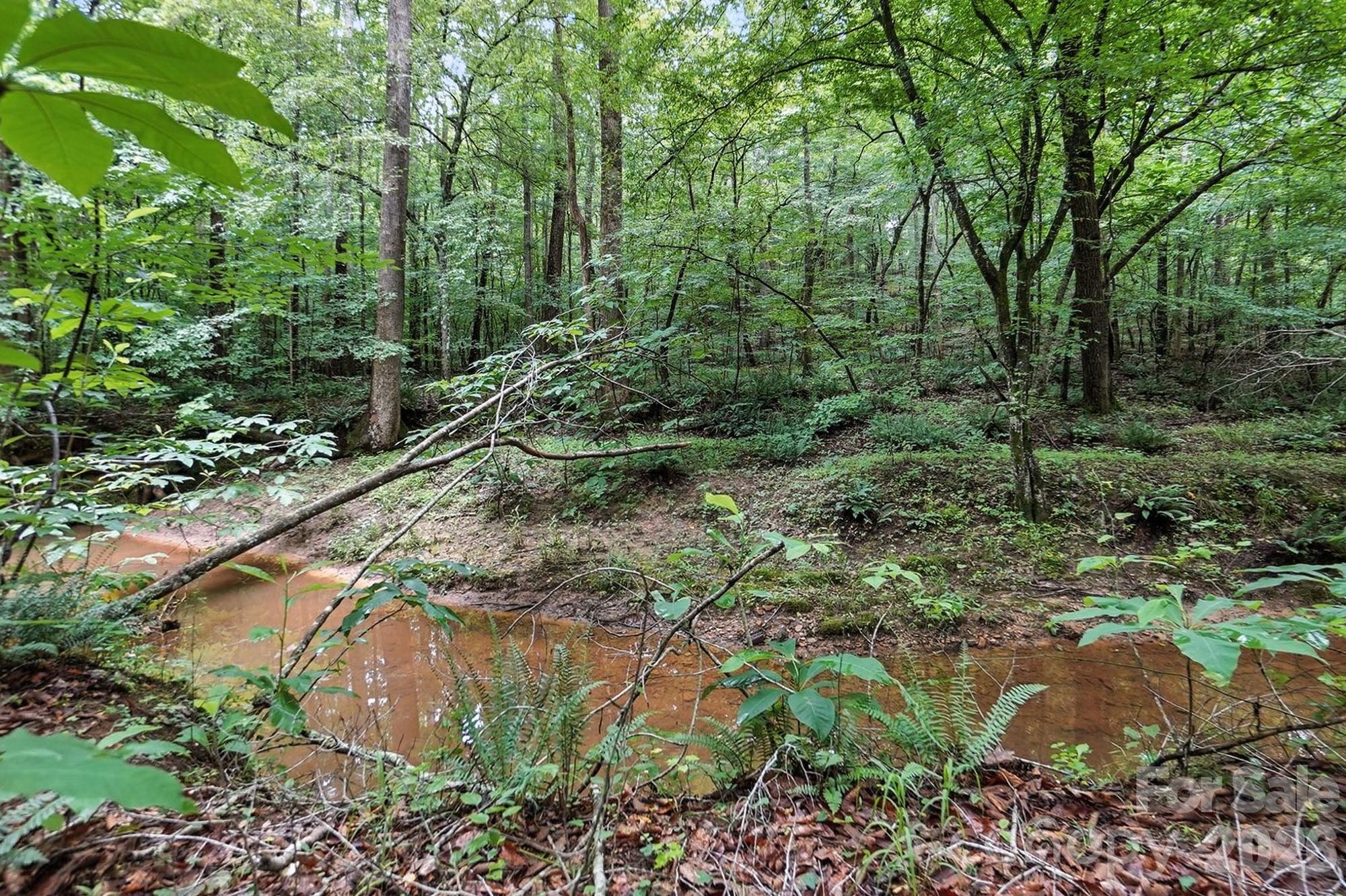 6 Hager Mountain Lane Property Photo 21