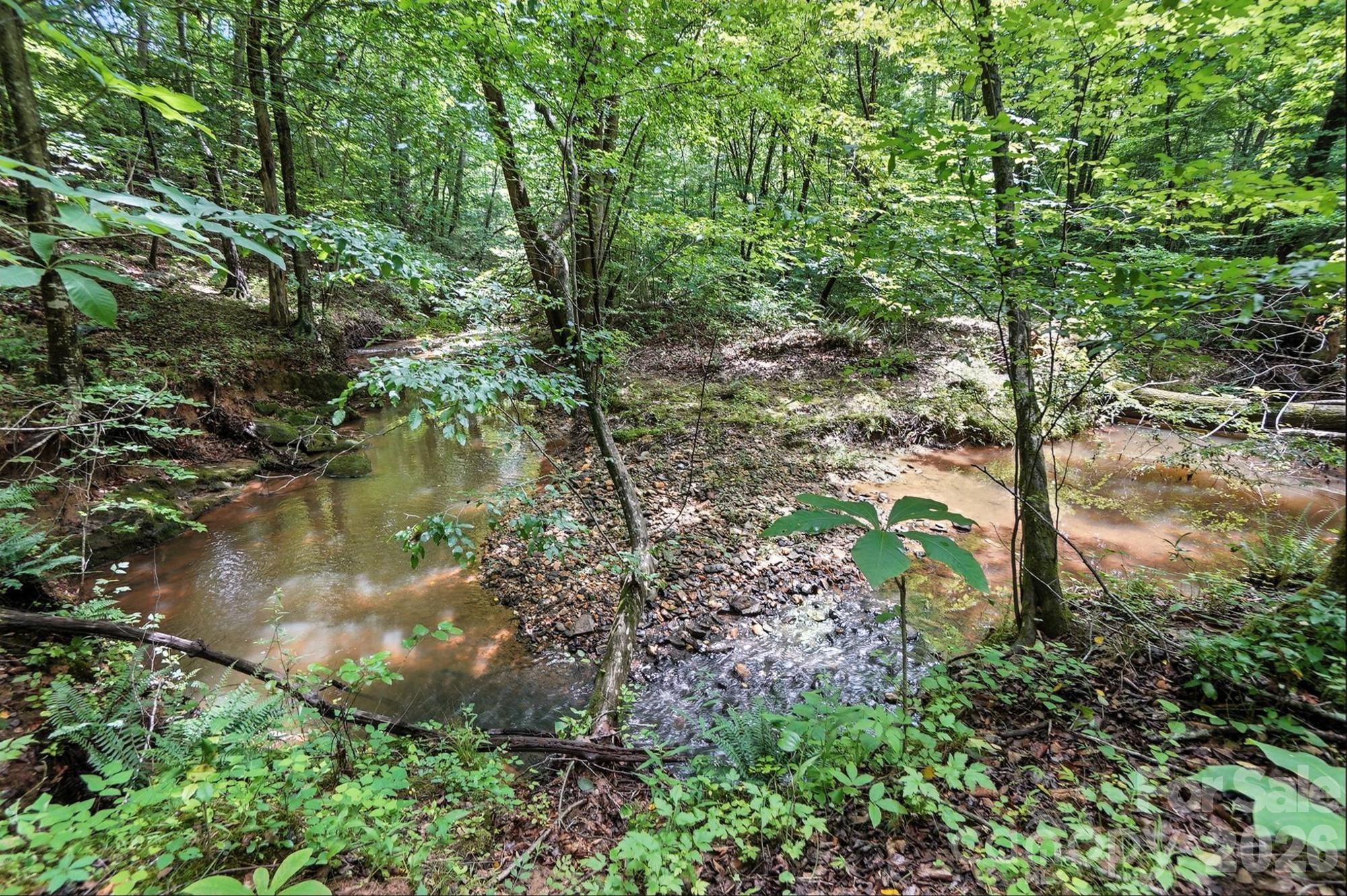 6 Hager Mountain Lane Property Photo 23