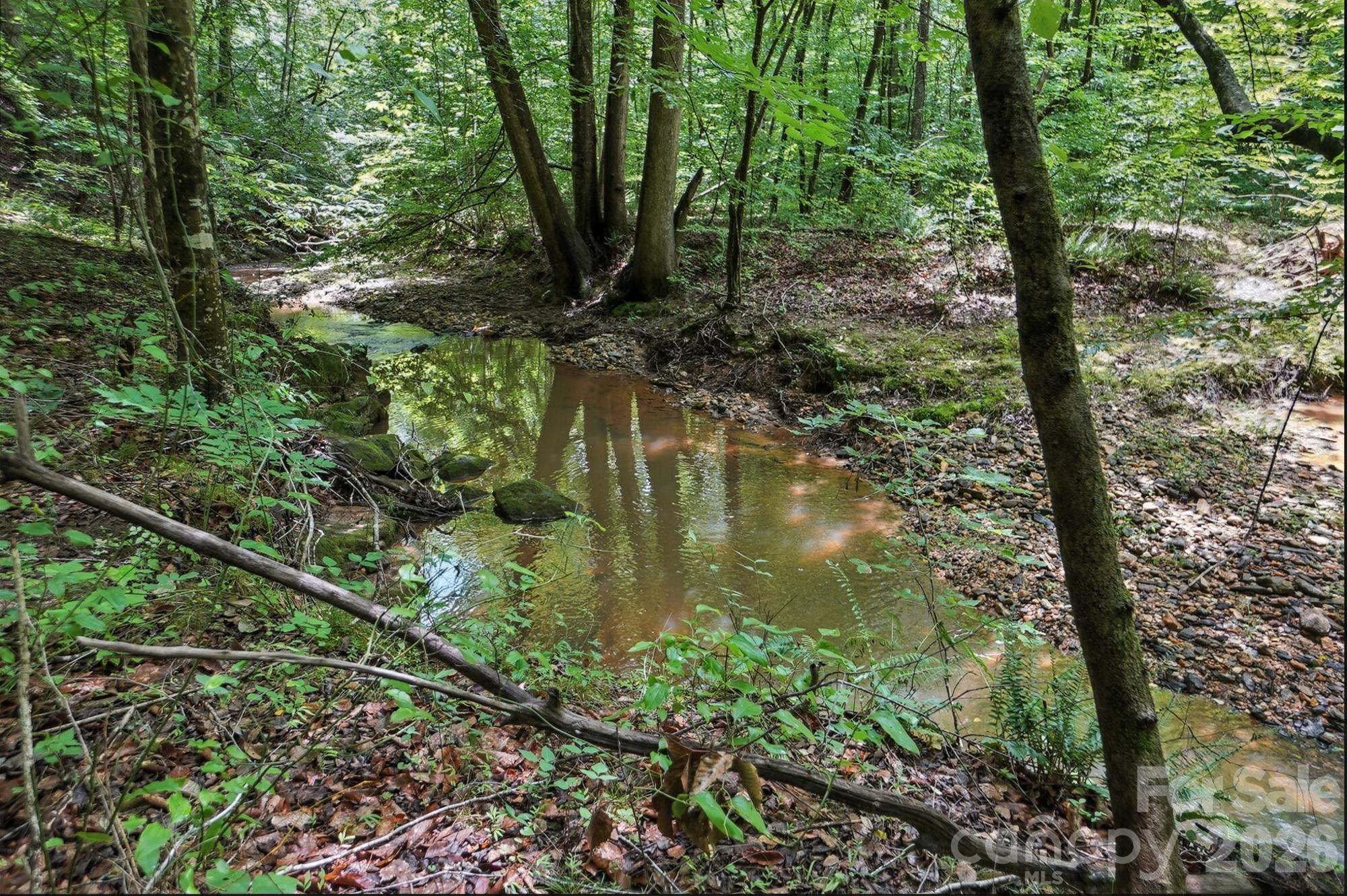 6 Hager Mountain Lane Property Photo 24