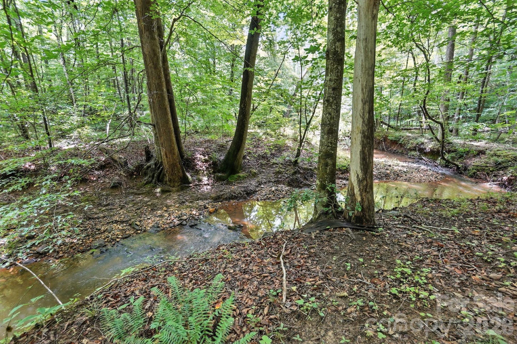 6 Hager Mountain Lane Property Photo 25
