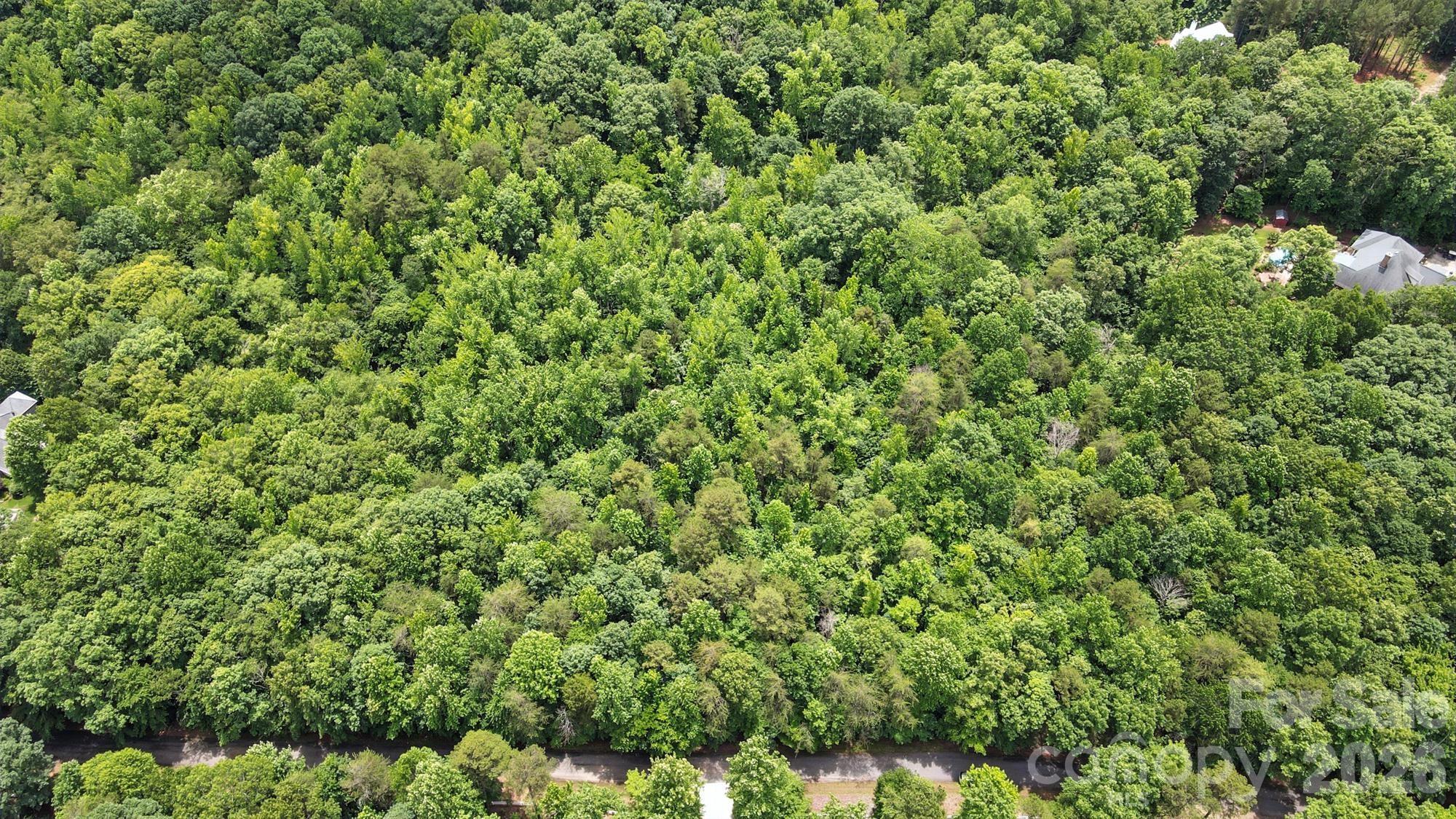 6 Hager Mountain Lane Property Photo 28