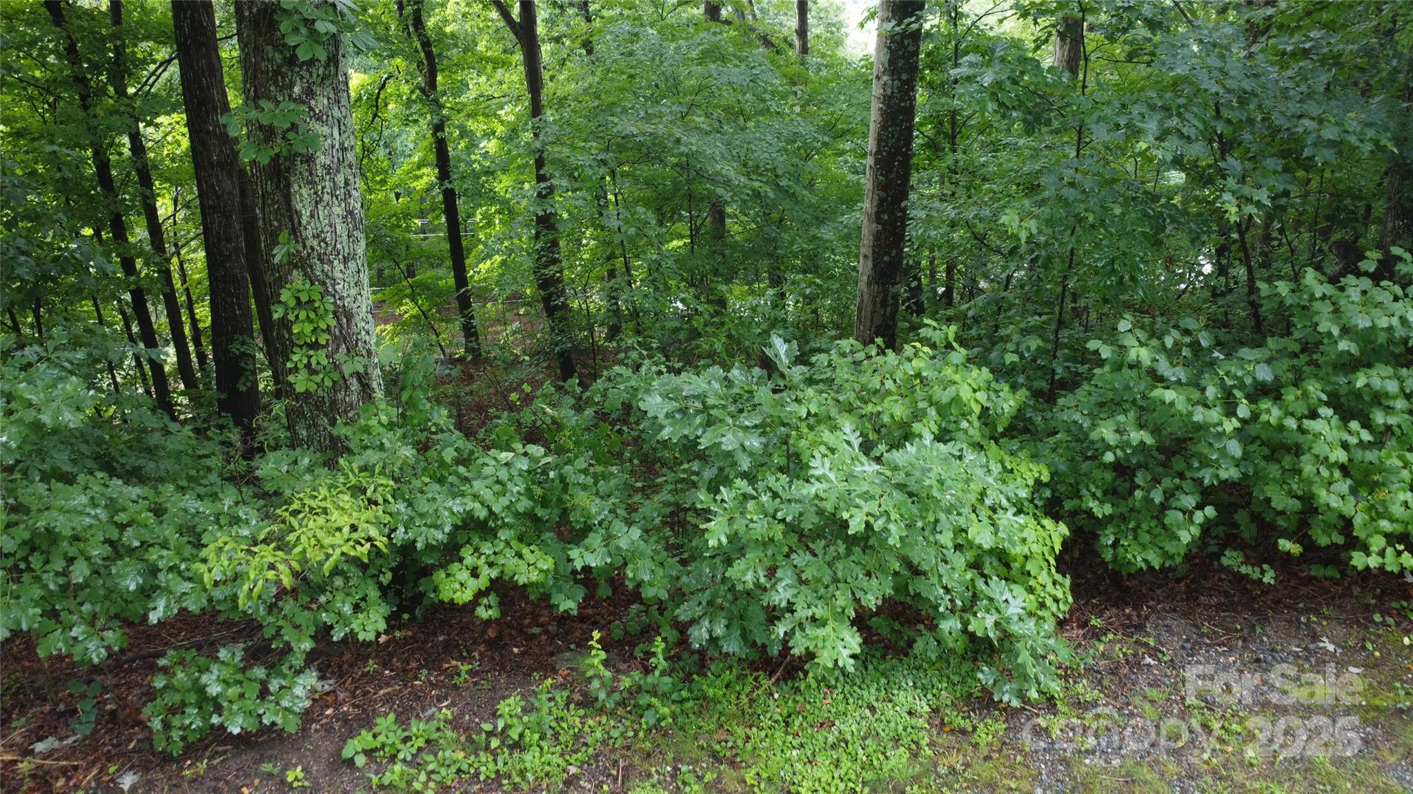 #46 Hemlock Trail Property Photo