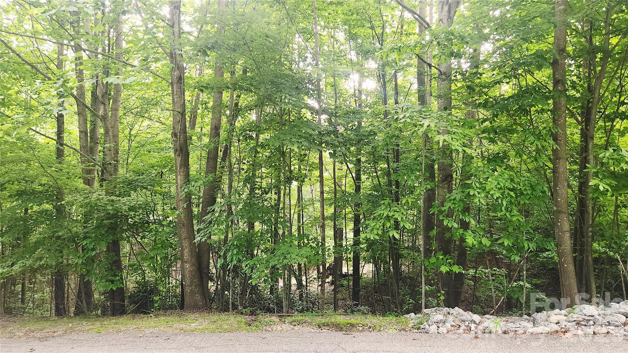 9999 Red Bud Lane 13 Property Photo 2