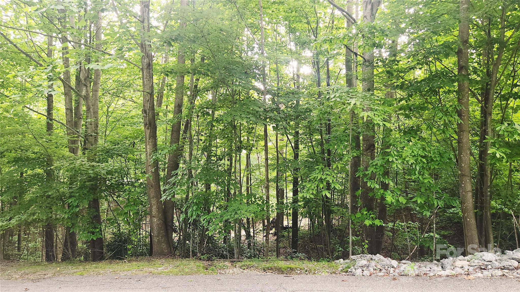 9999 Red Bud Lane 13 Property Photo 6