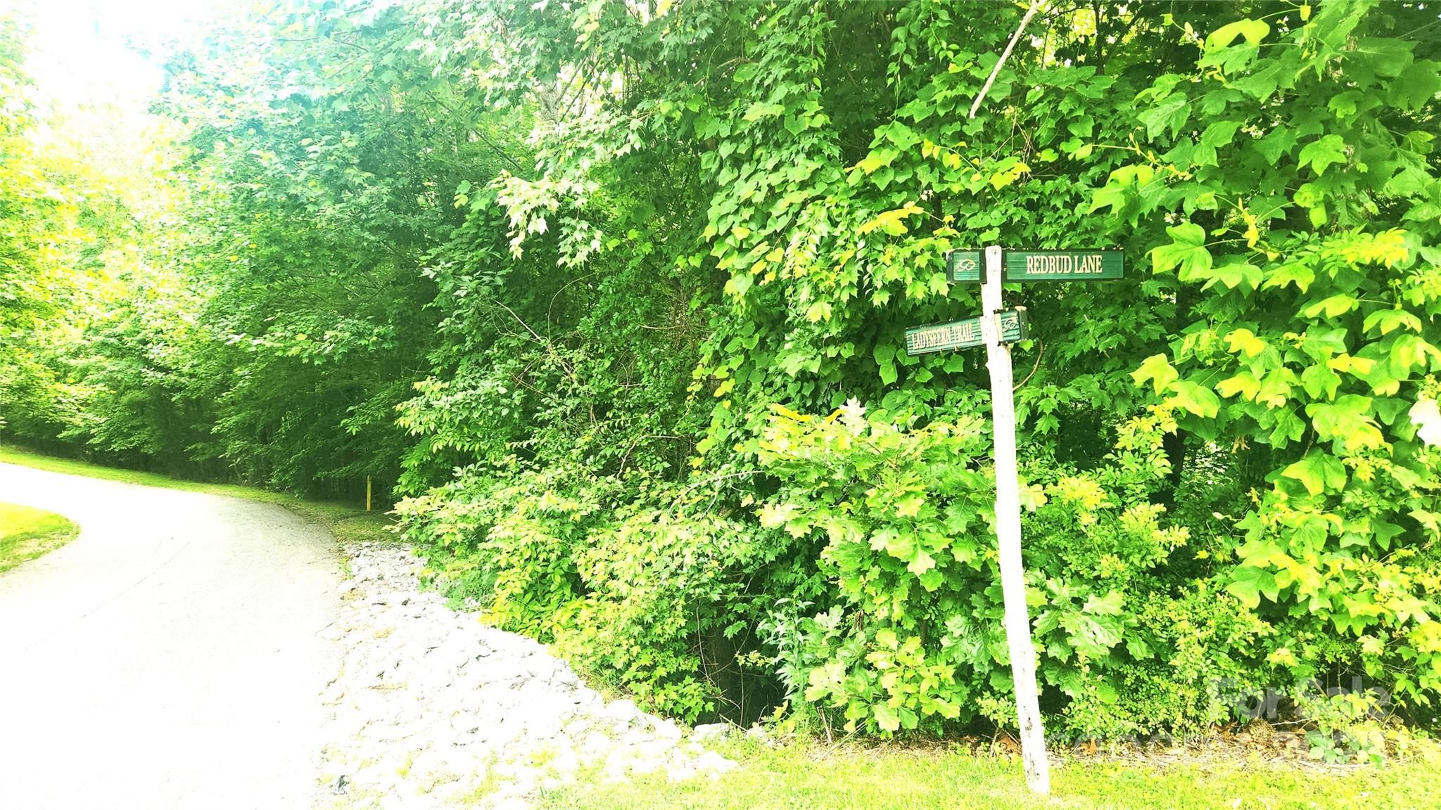 9999 Red Bud Lane 13 Property Photo 7