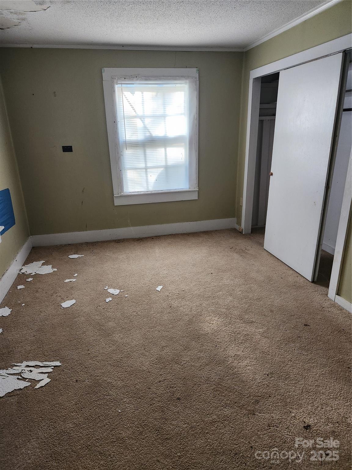 423 Tot Dellinger Road Property Photo 8