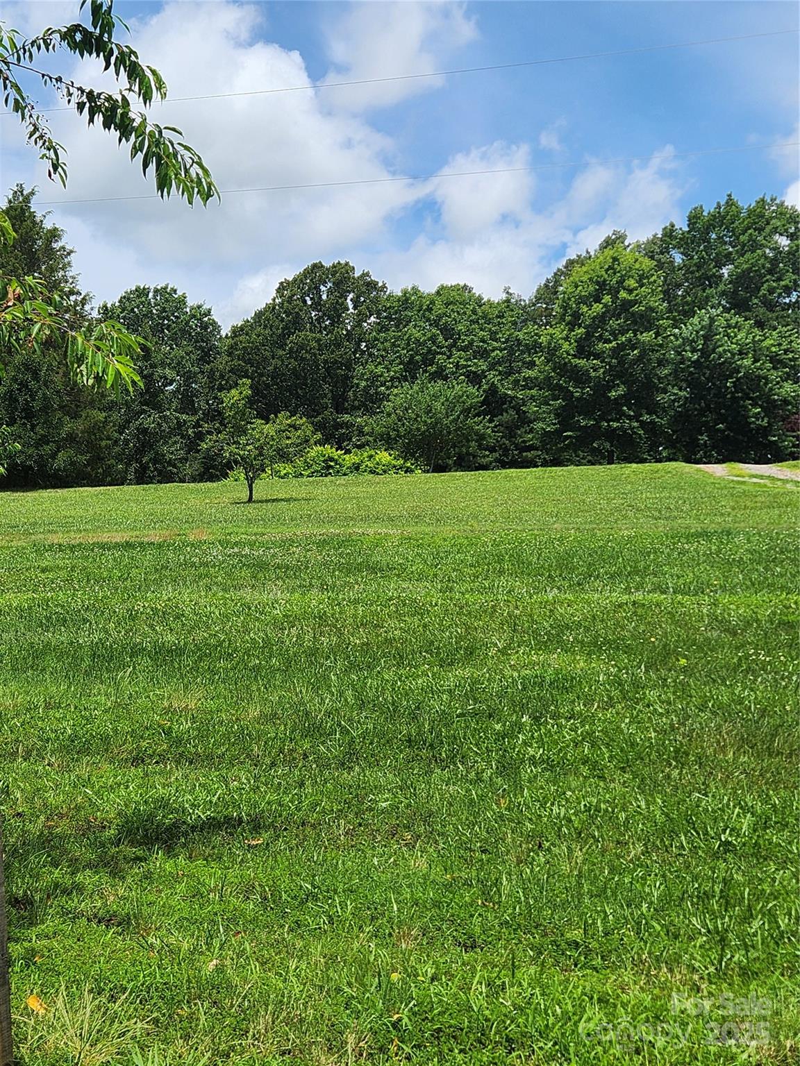 423 Tot Dellinger Road Property Photo 13