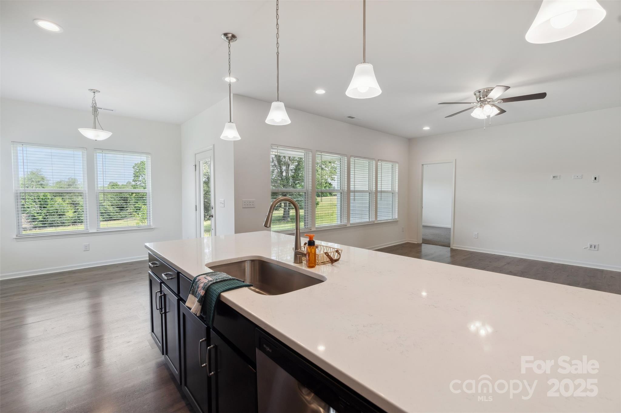 117 Carmine Court Property Photo 13