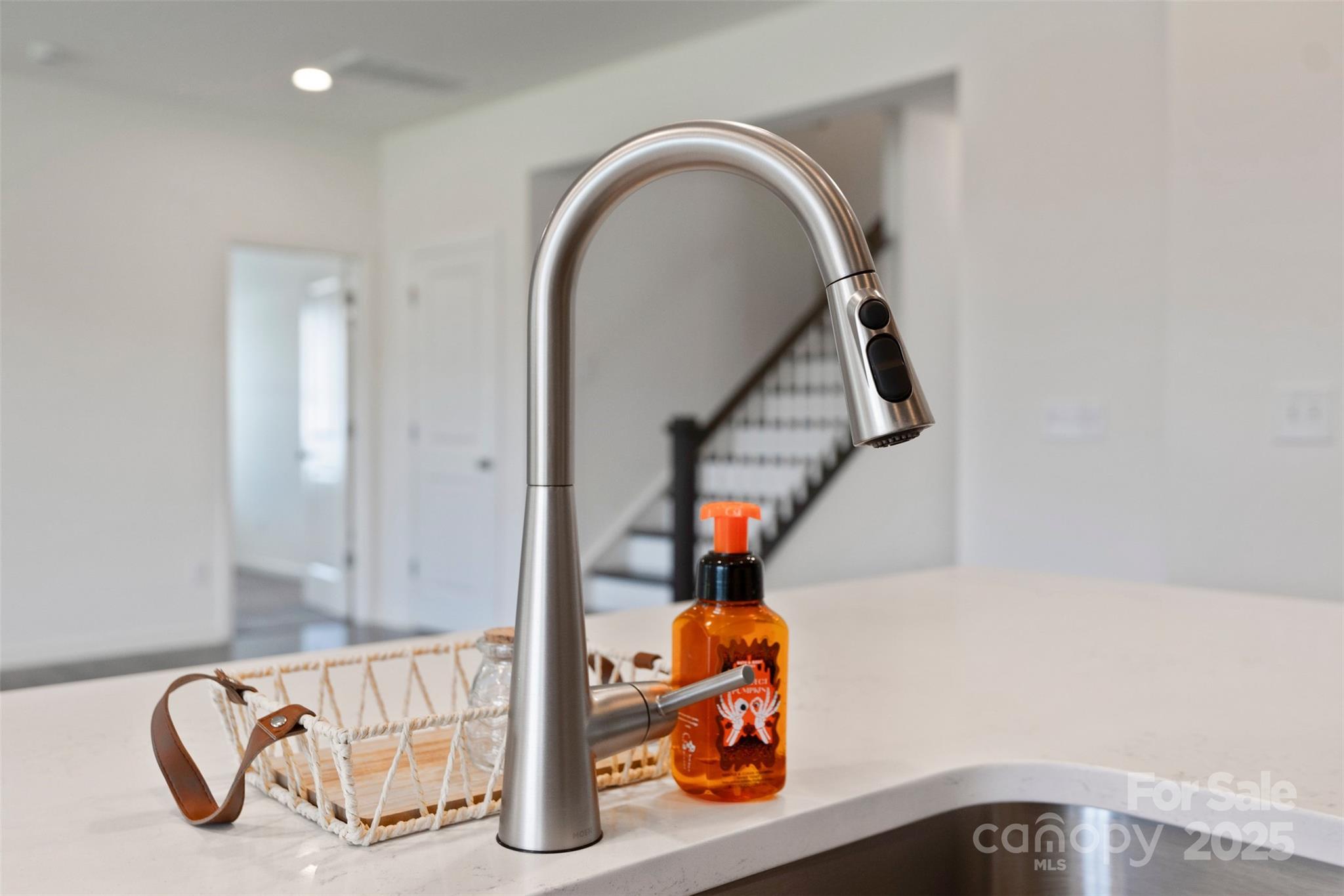 117 Carmine Court Property Photo 16