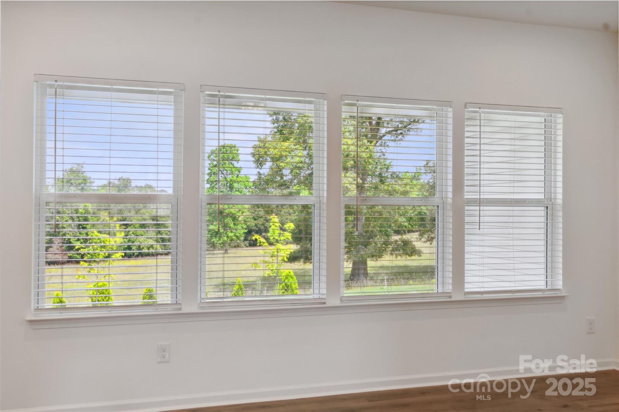 117 Carmine Court Property Photo 22