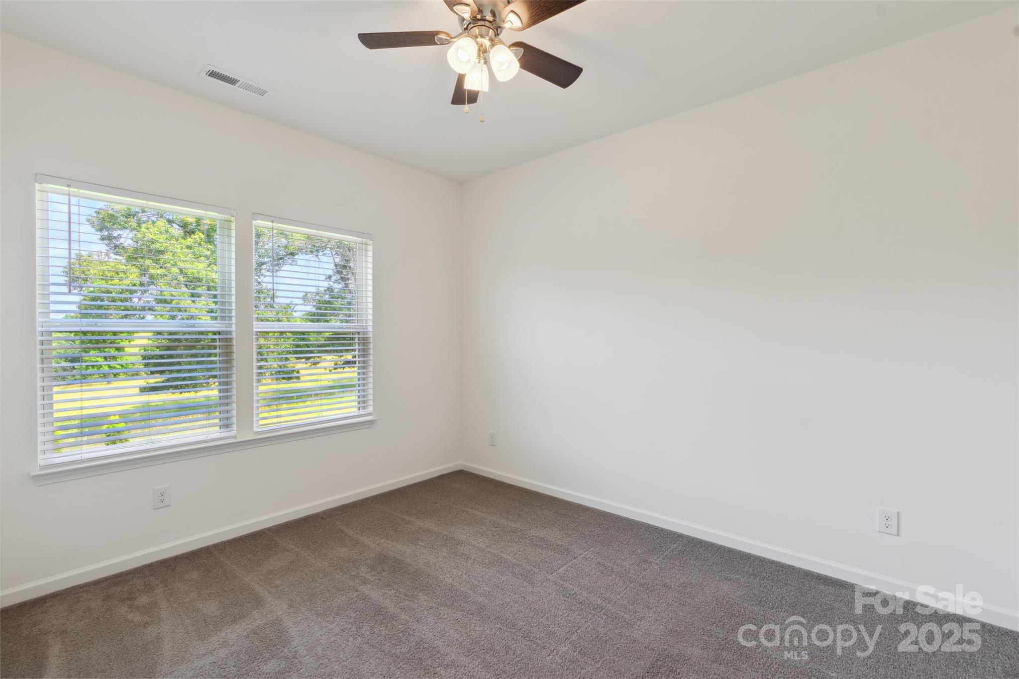 117 Carmine Court Property Photo 23