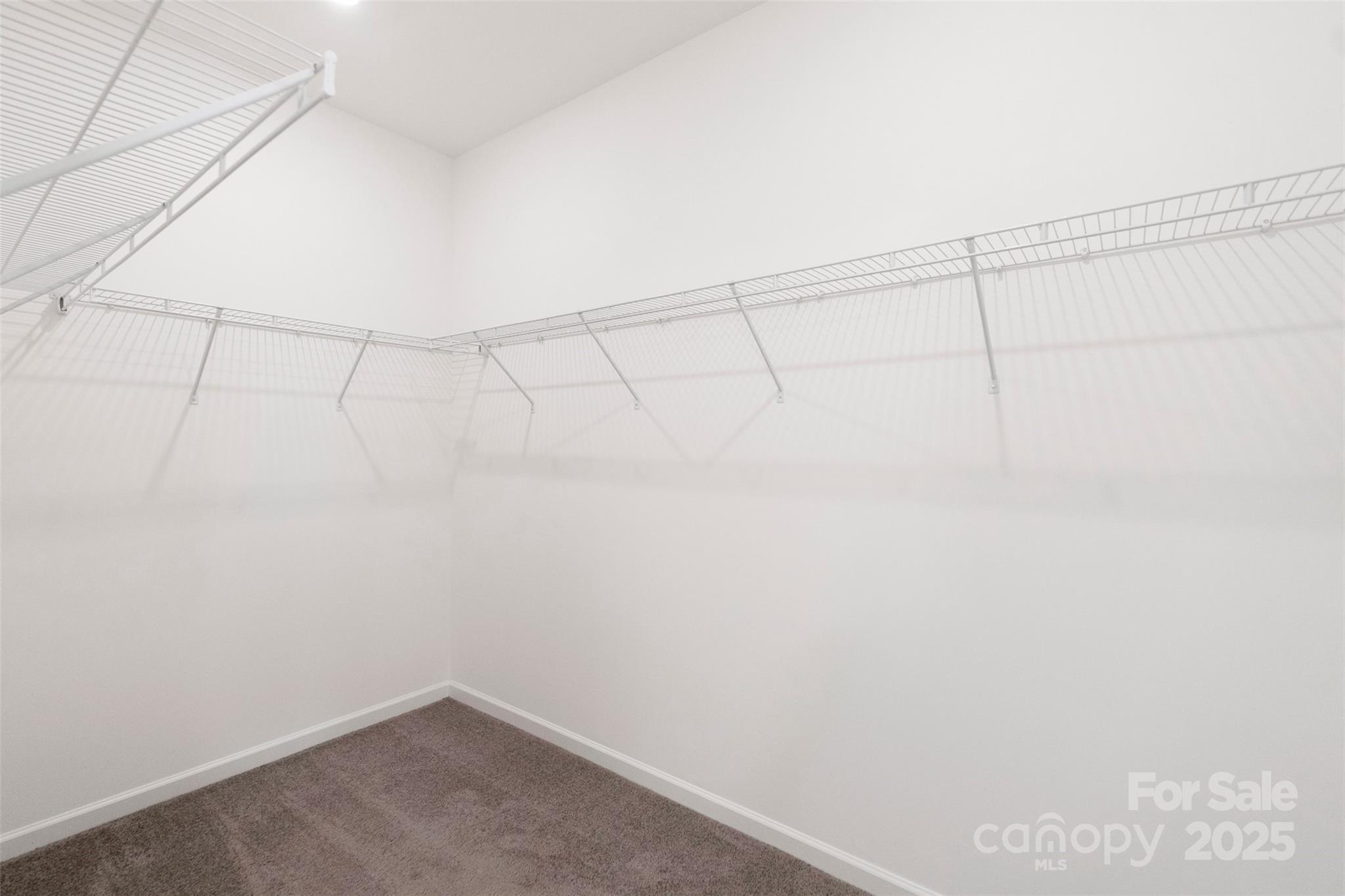 117 Carmine Court Property Photo 28