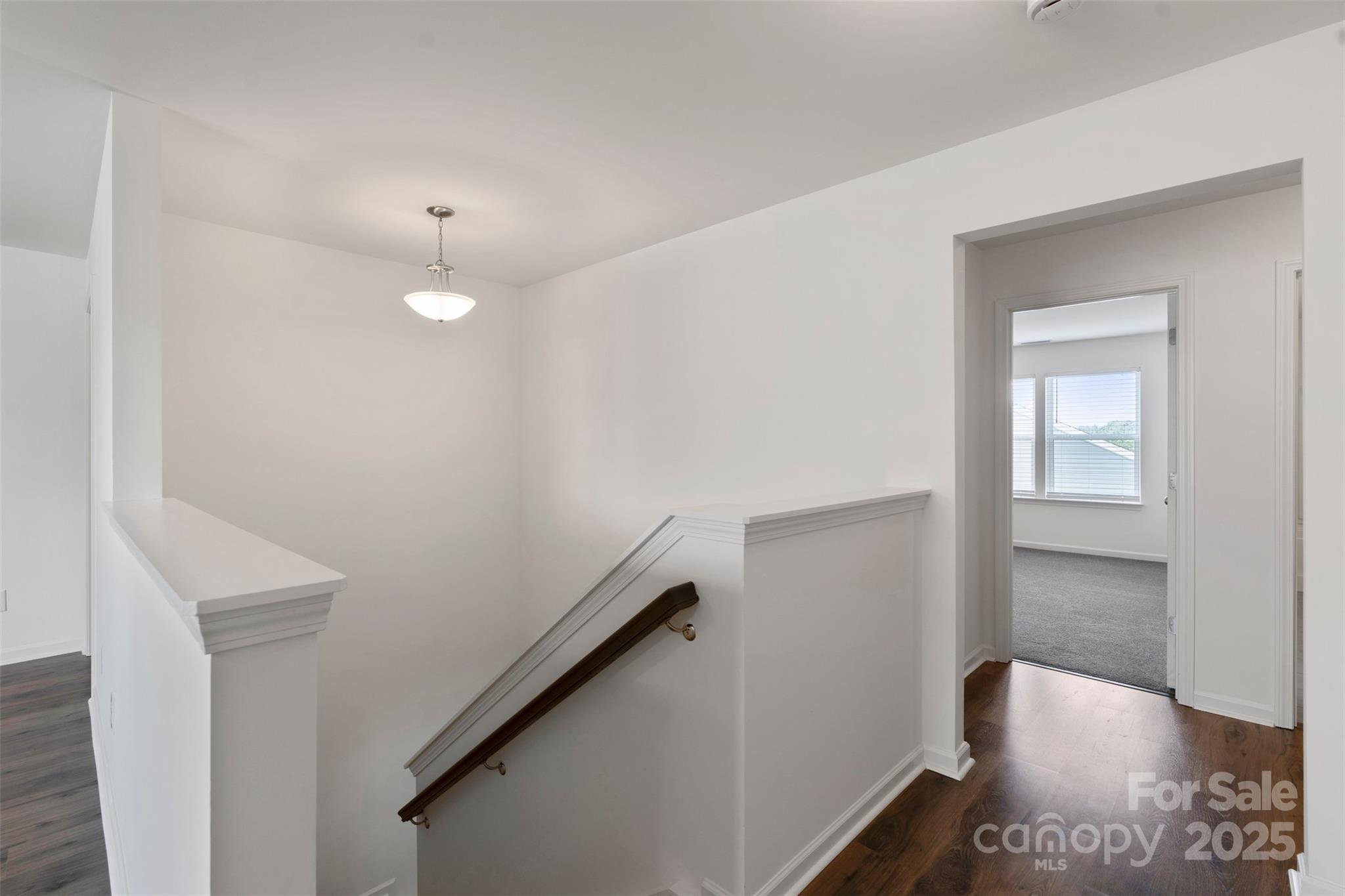 117 Carmine Court Property Photo 32