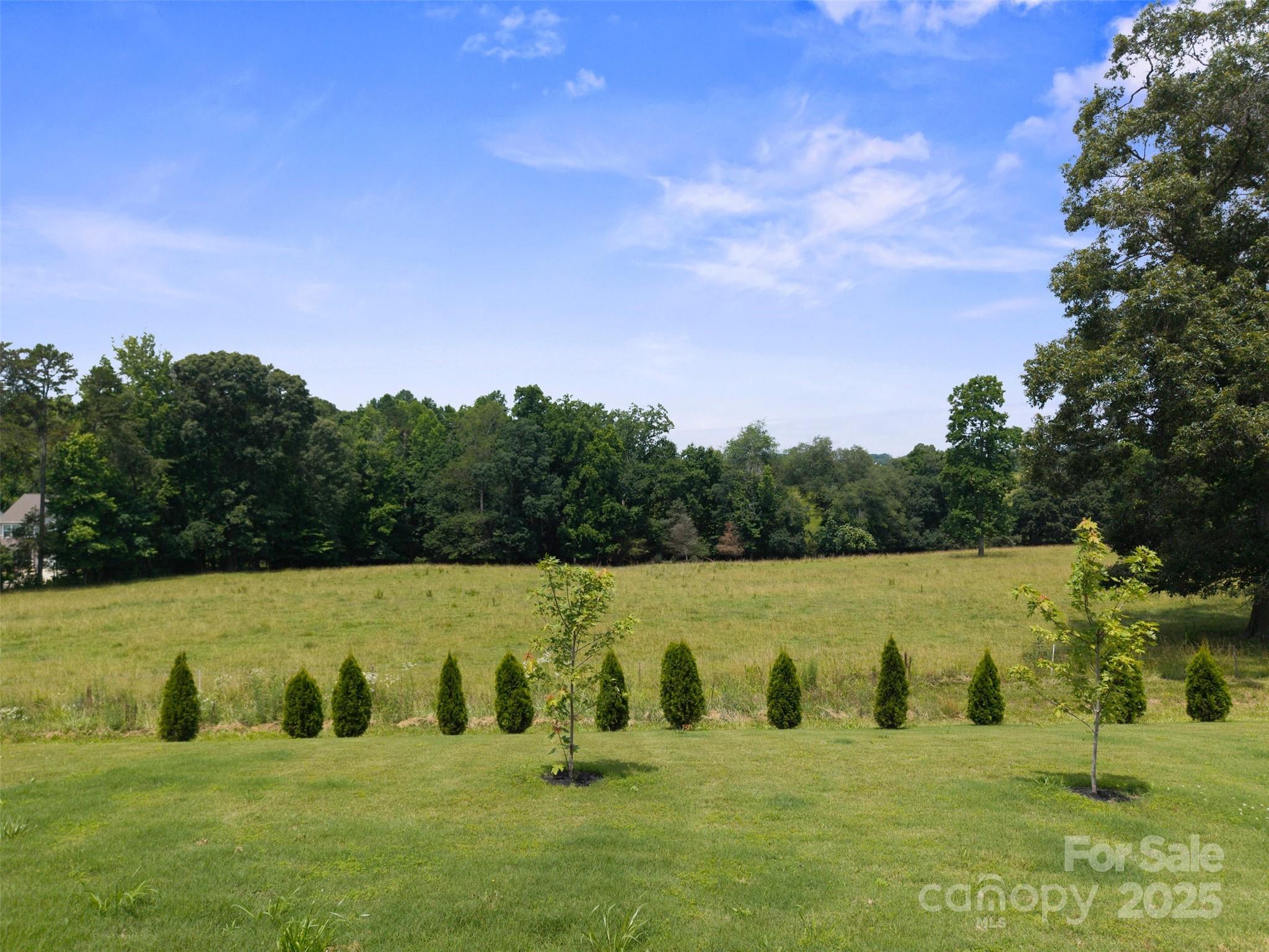 117 Carmine Court Property Photo 41