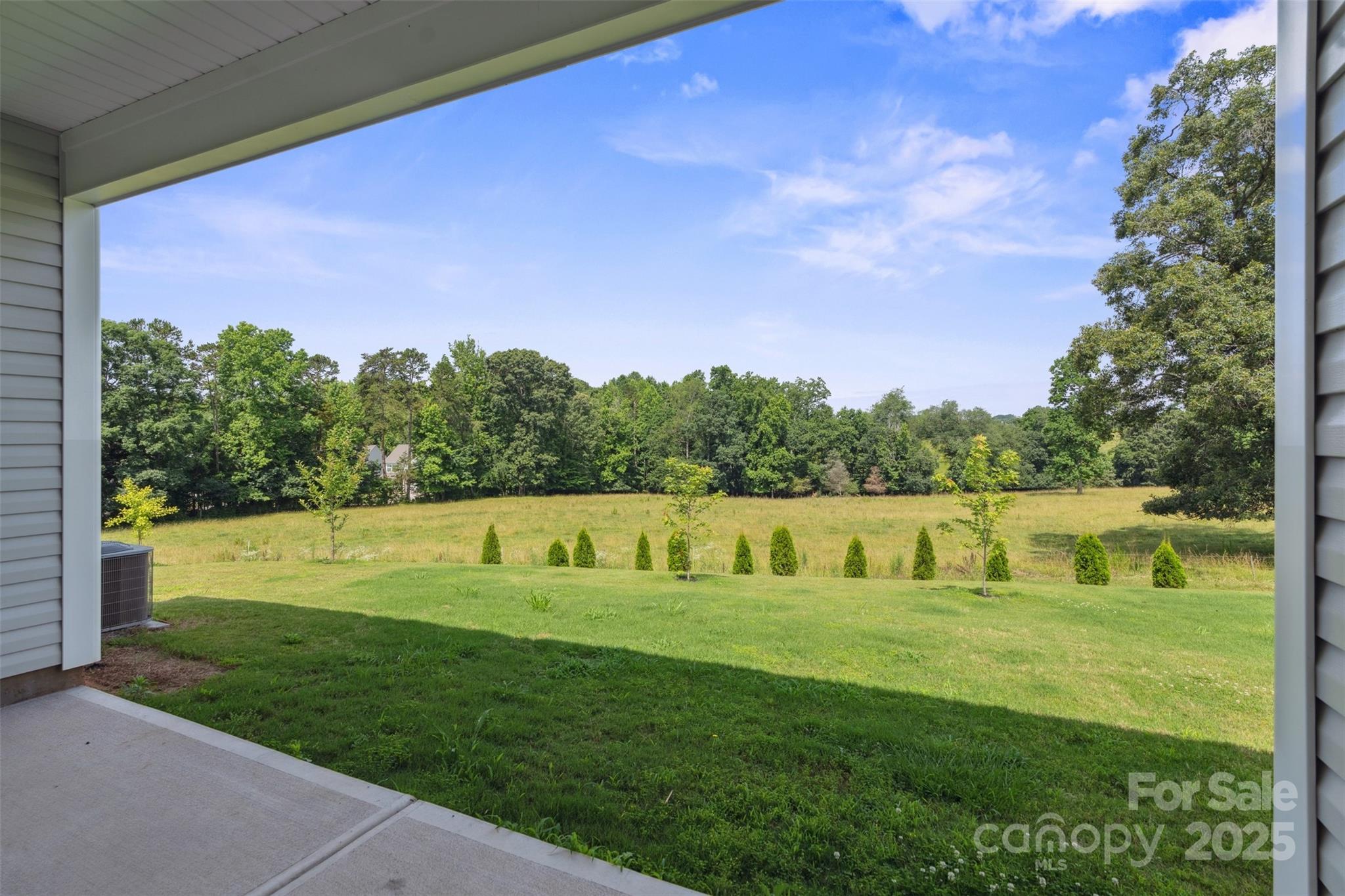 117 Carmine Court Property Photo 42