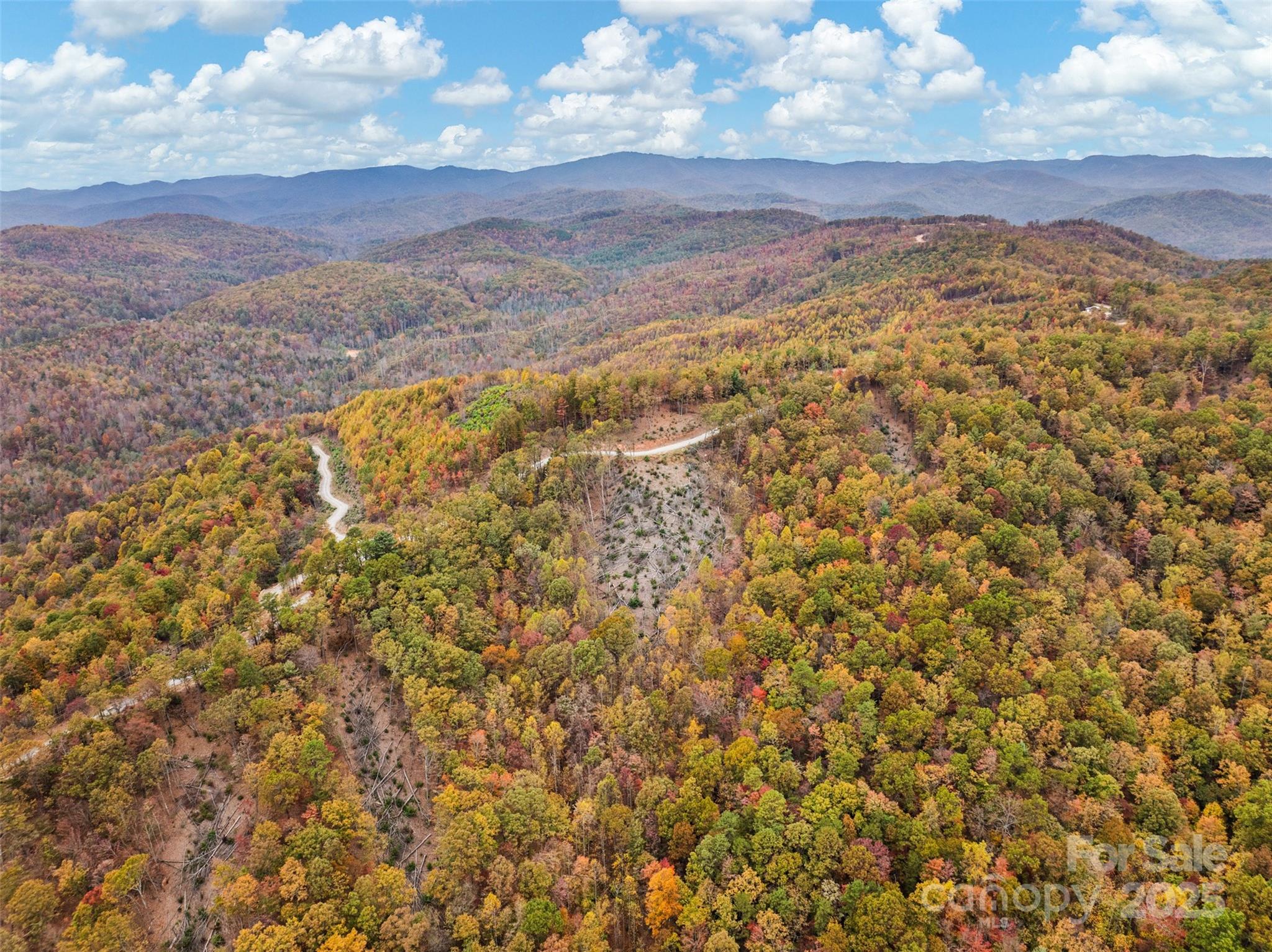 48 Cane Creek Church Road Property Photo 6