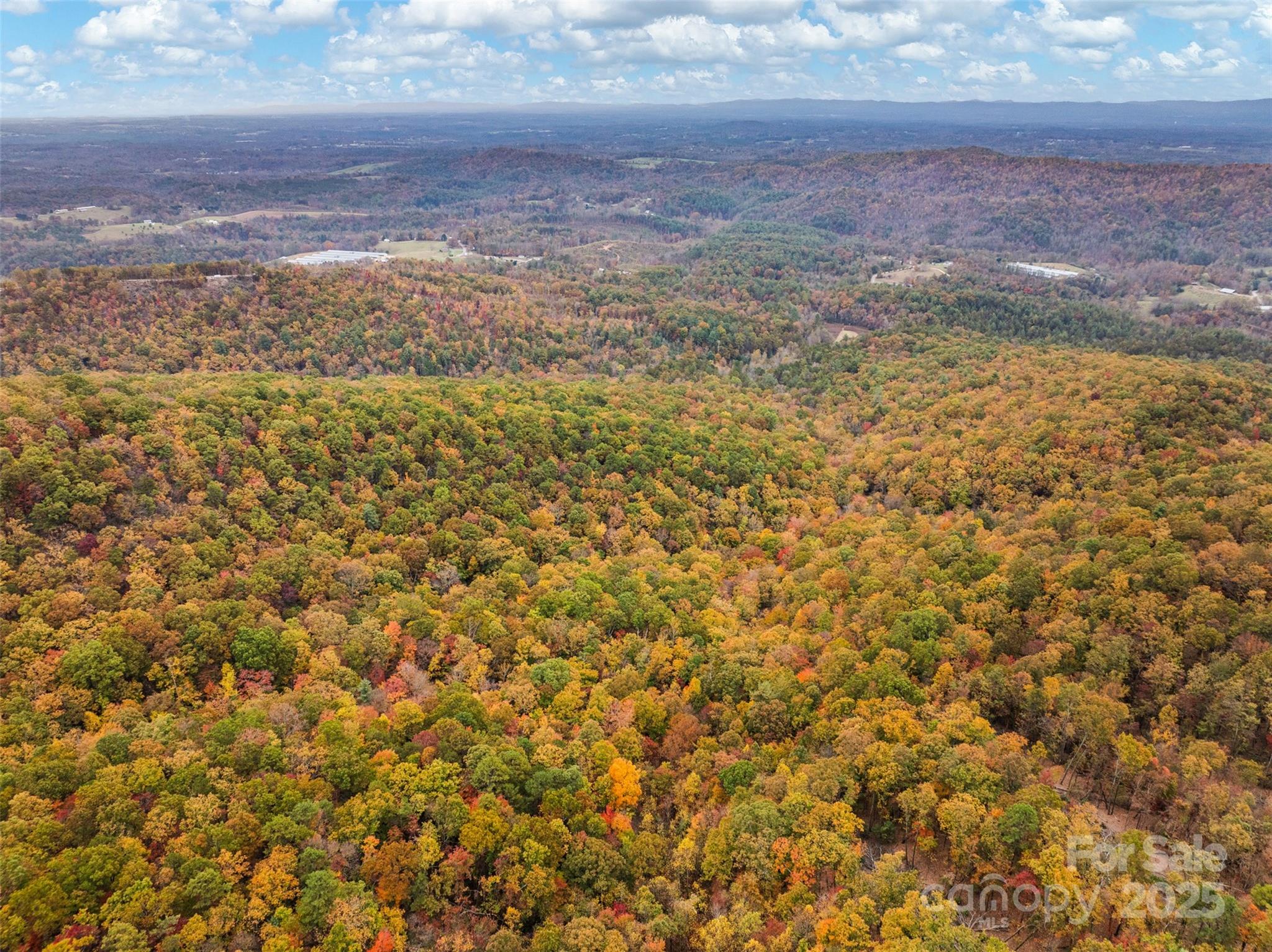 48 Cane Creek Church Road Property Photo 8