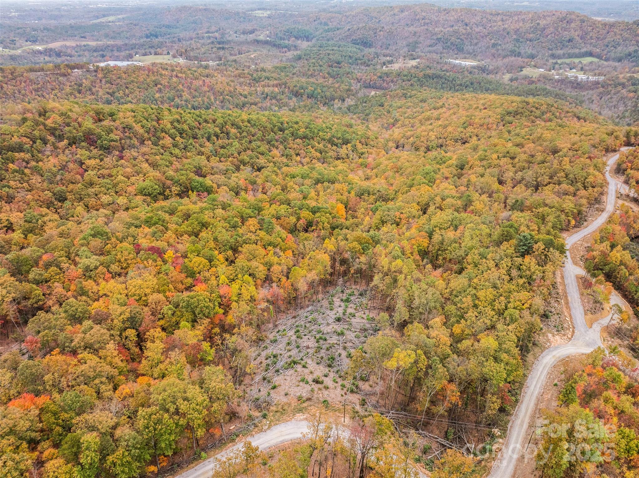48 Cane Creek Church Road Property Photo 9