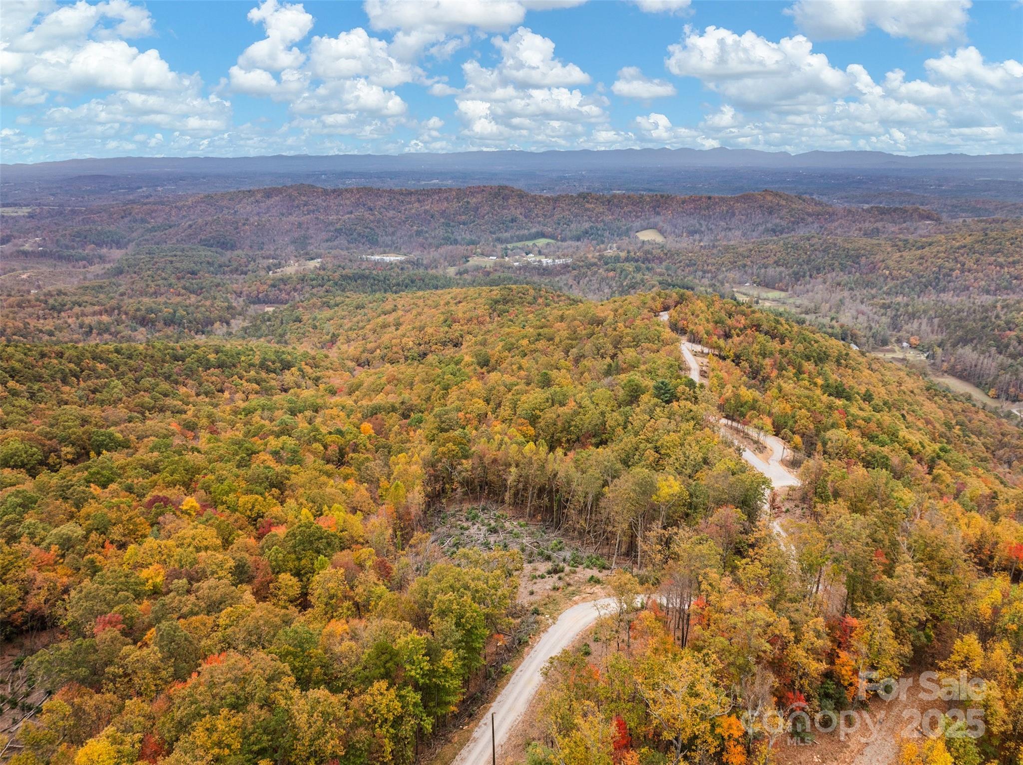48 Cane Creek Church Road Property Photo 12