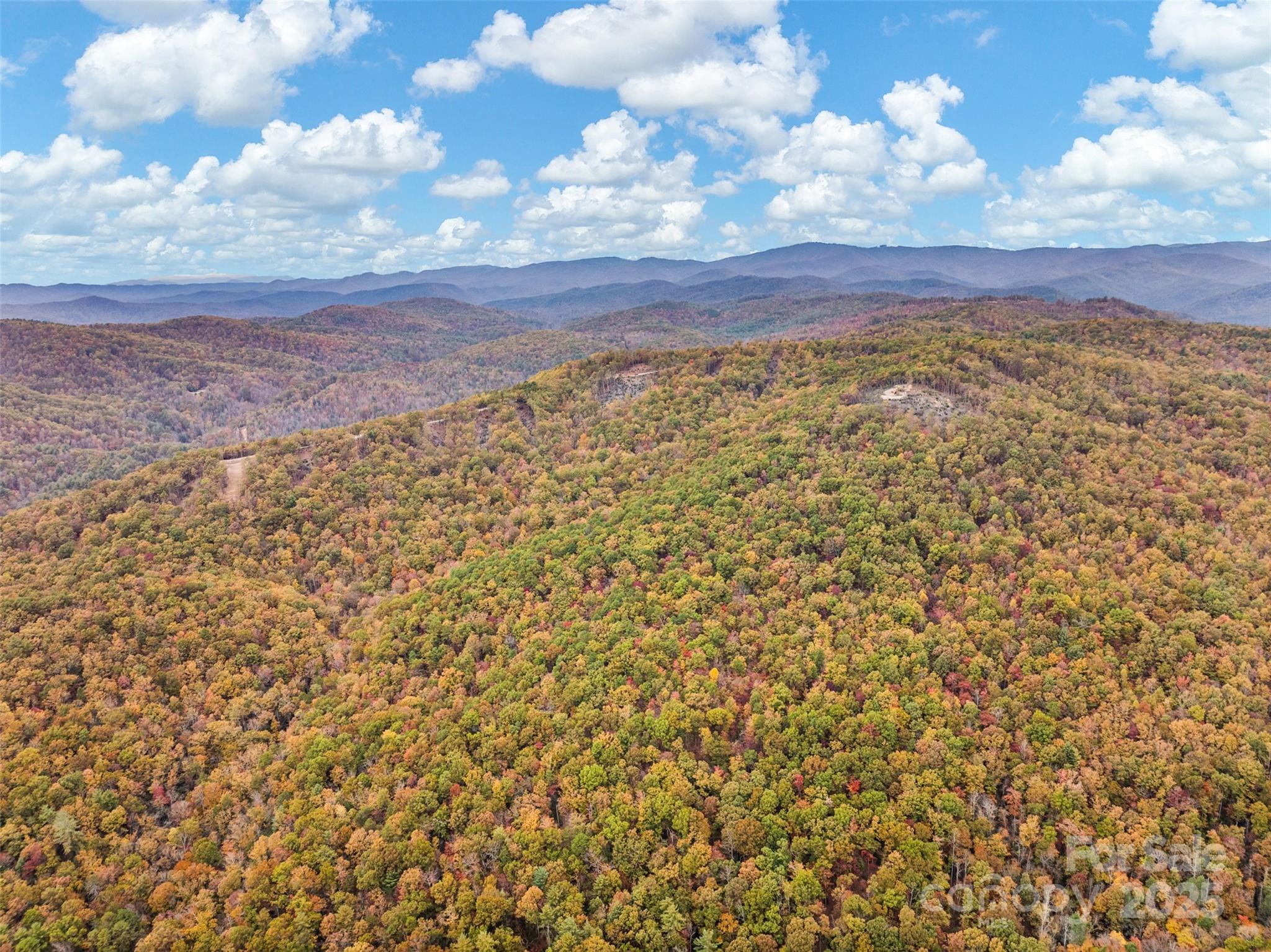 48 Cane Creek Church Road Property Photo 16