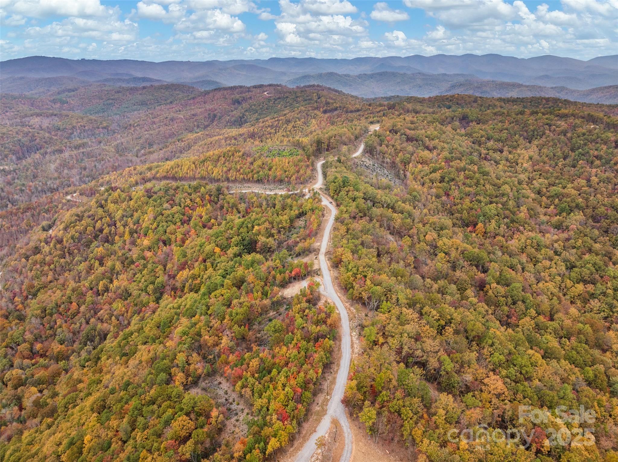 48 Cane Creek Church Road Property Photo 18