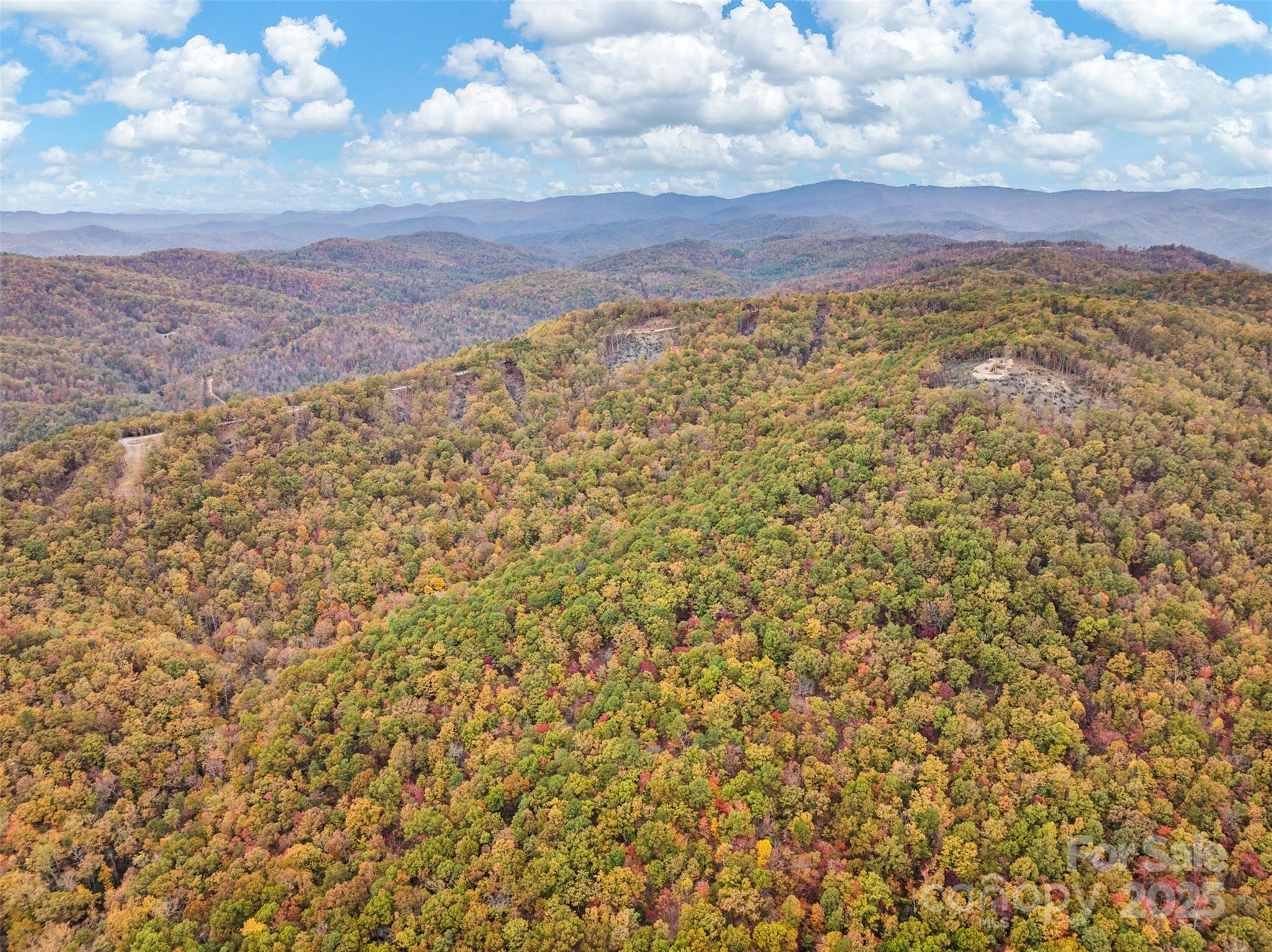 48 Cane Creek Church Road Property Photo 19