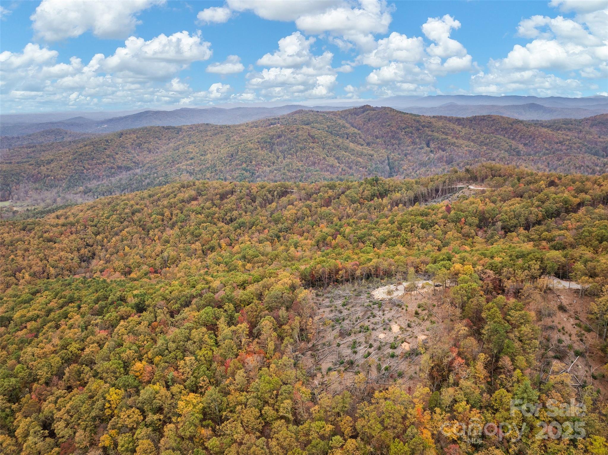 48 Cane Creek Church Road Property Photo 21