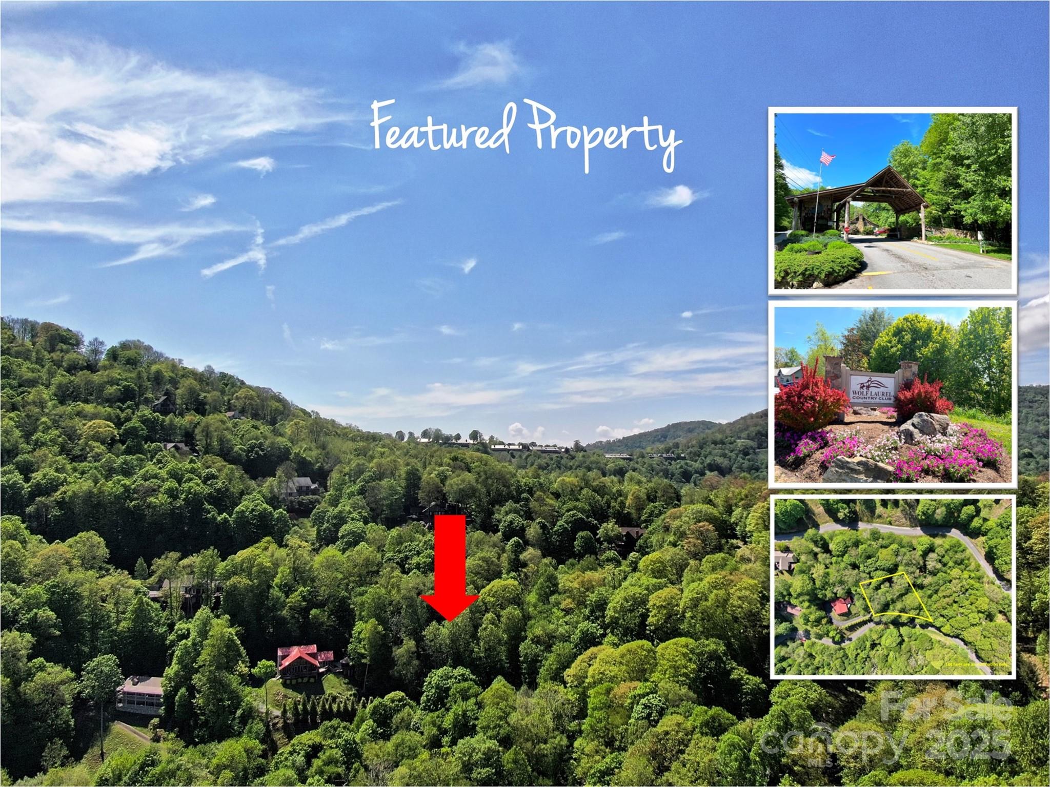 Tbd Goldenleaf Road 74 Property Photo 1