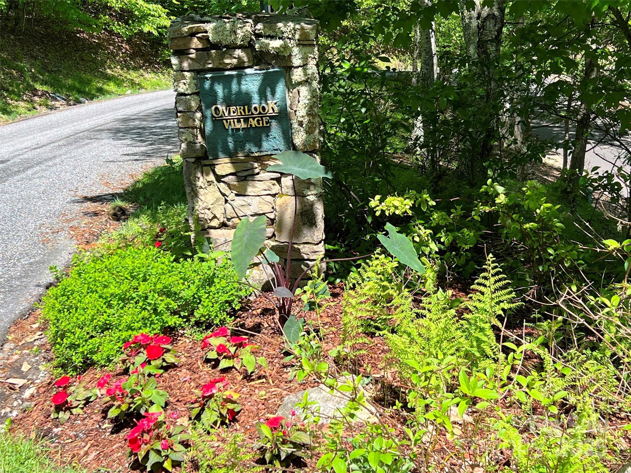 Tbd Goldenleaf Road 74 Property Photo 4