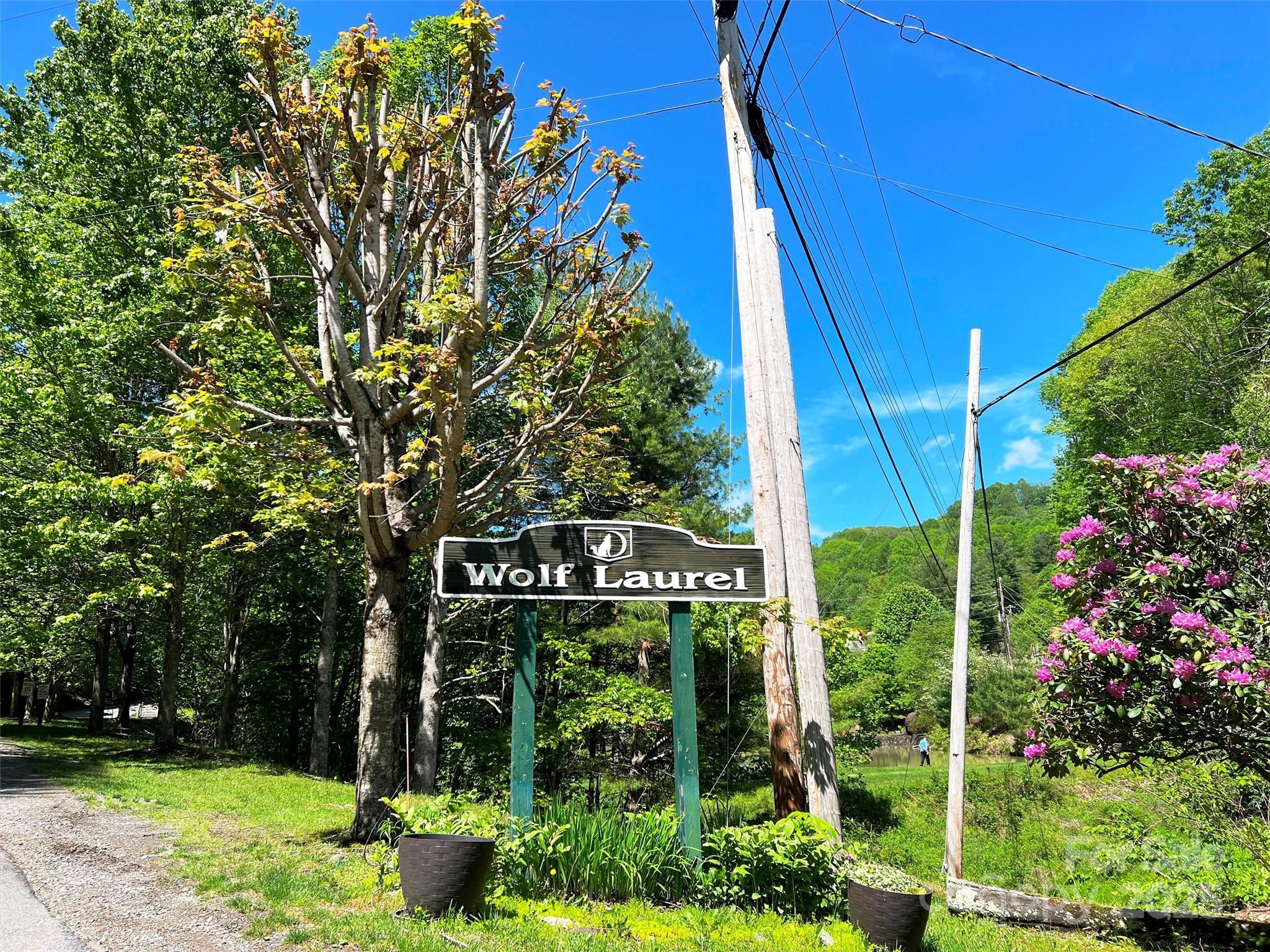 Tbd Goldenleaf Road 74 Property Photo 5