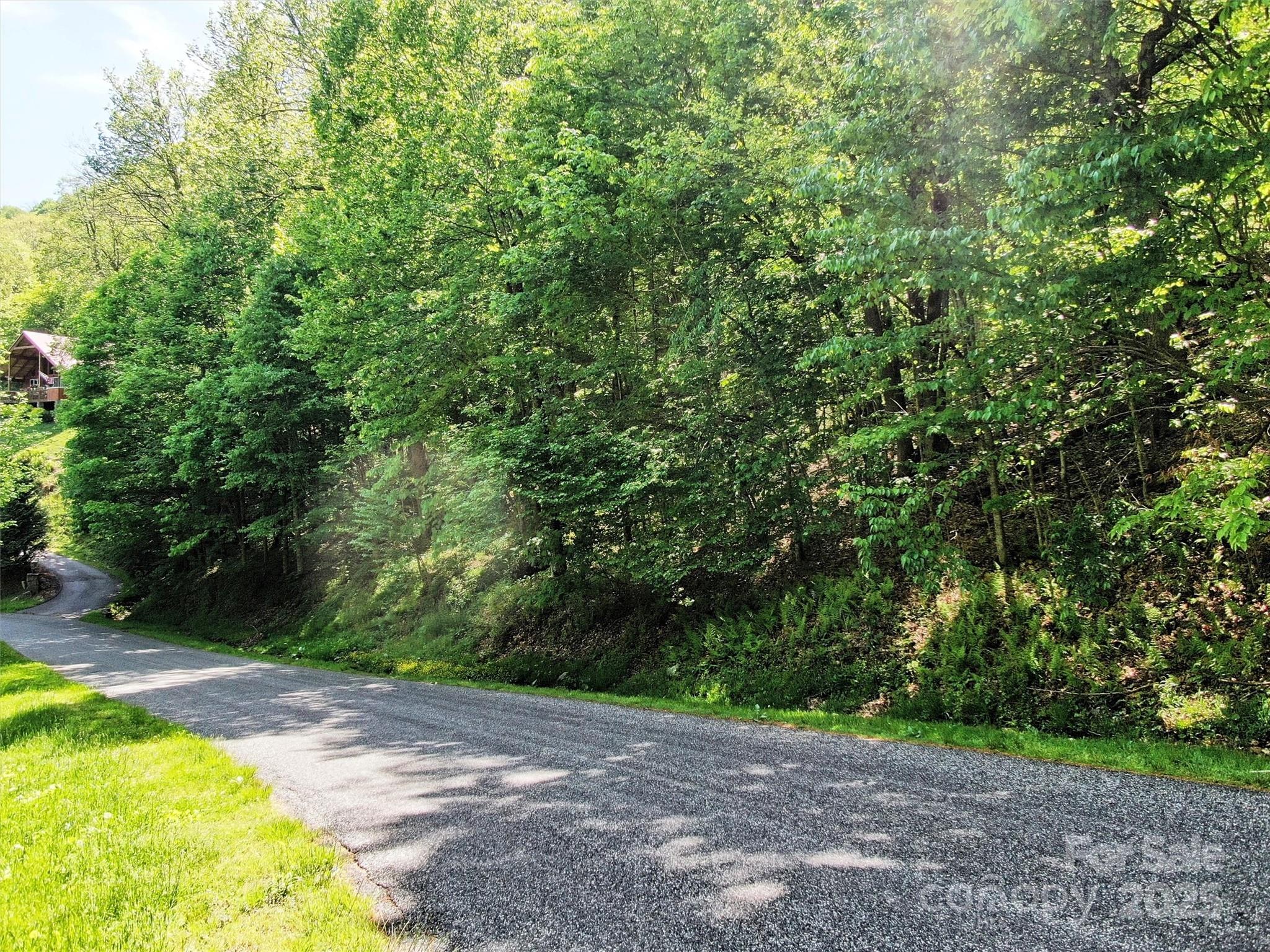 Tbd Goldenleaf Road 74 Property Photo 8