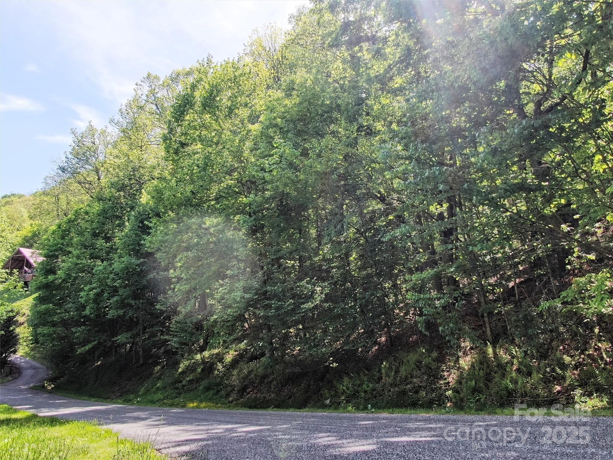 Tbd Goldenleaf Road 74 Property Photo 9