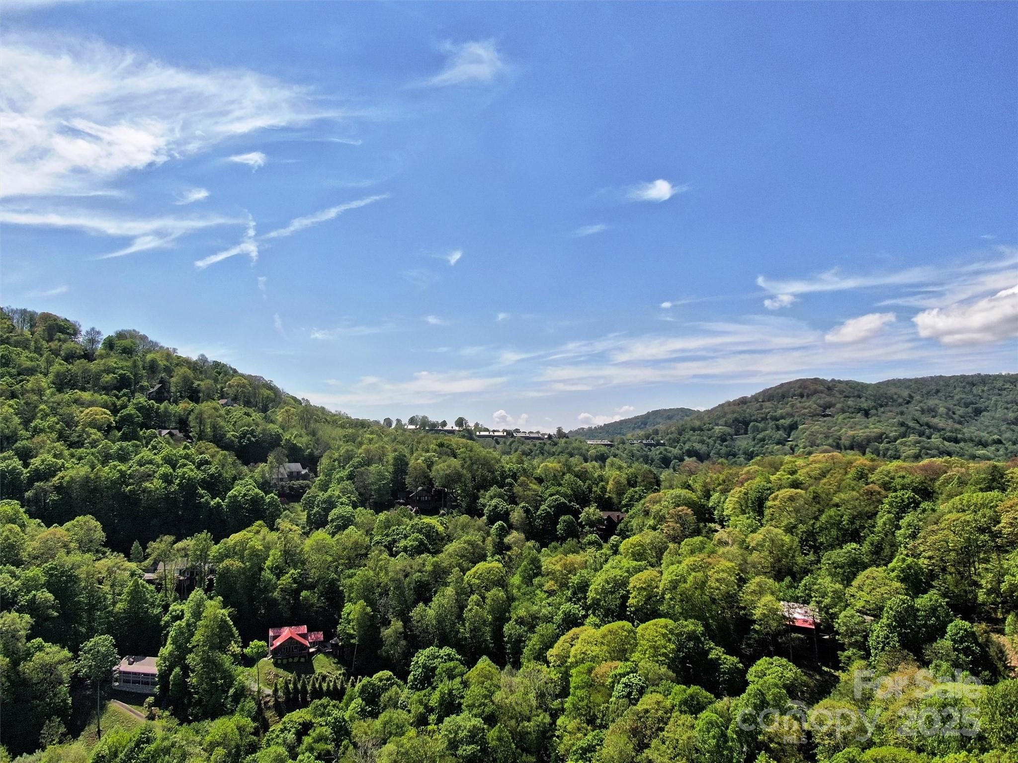 Tbd Goldenleaf Road 74 Property Photo 12