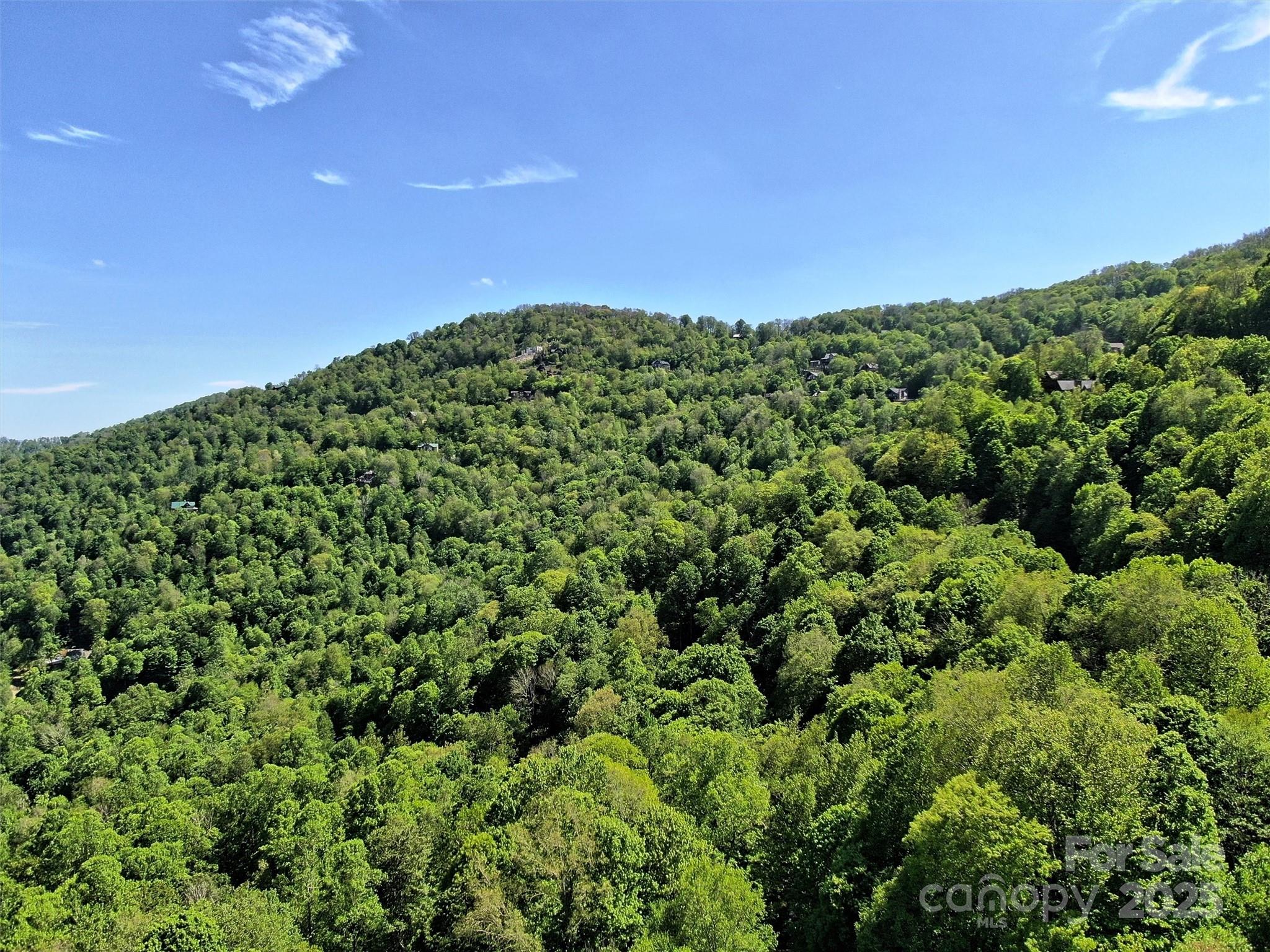 Tbd Goldenleaf Road 74 Property Photo 15