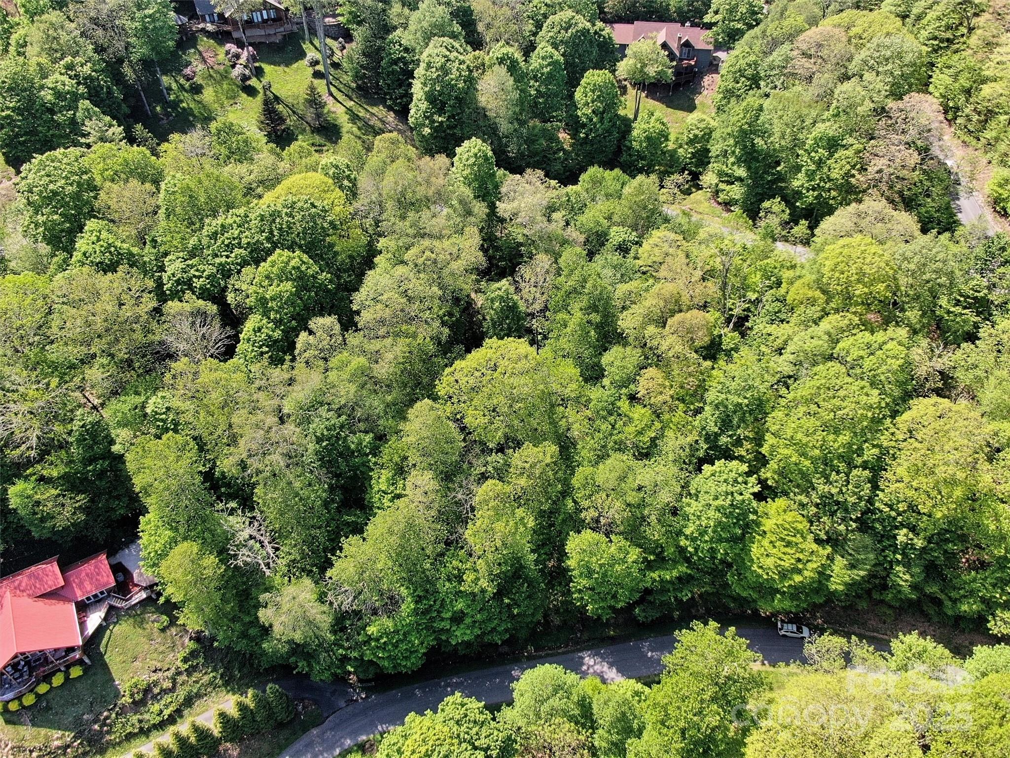 Tbd Goldenleaf Road 74 Property Photo 17