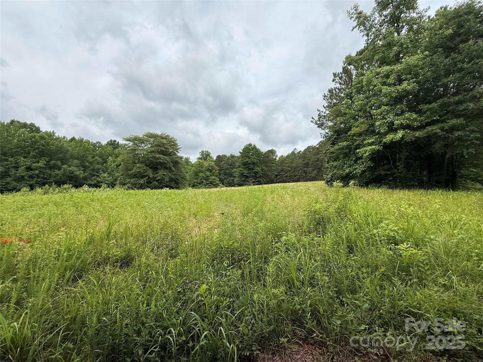 2430 Grubb Ferry Road Property Photo 1