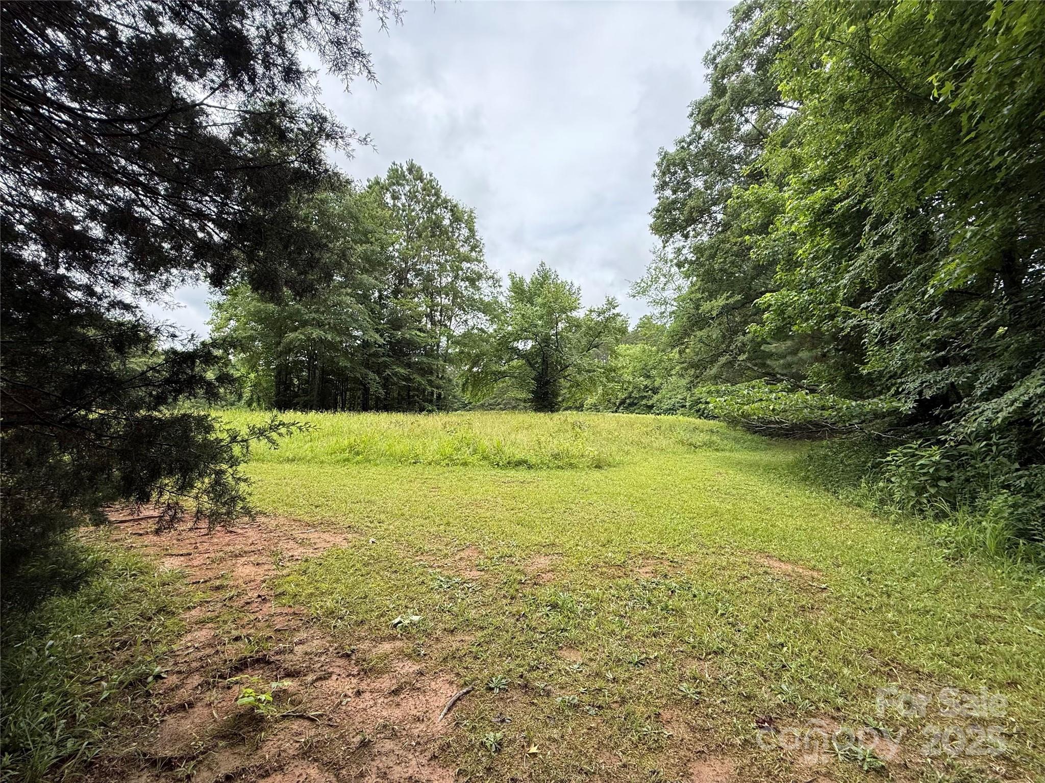 2430 Grubb Ferry Road Property Photo 12