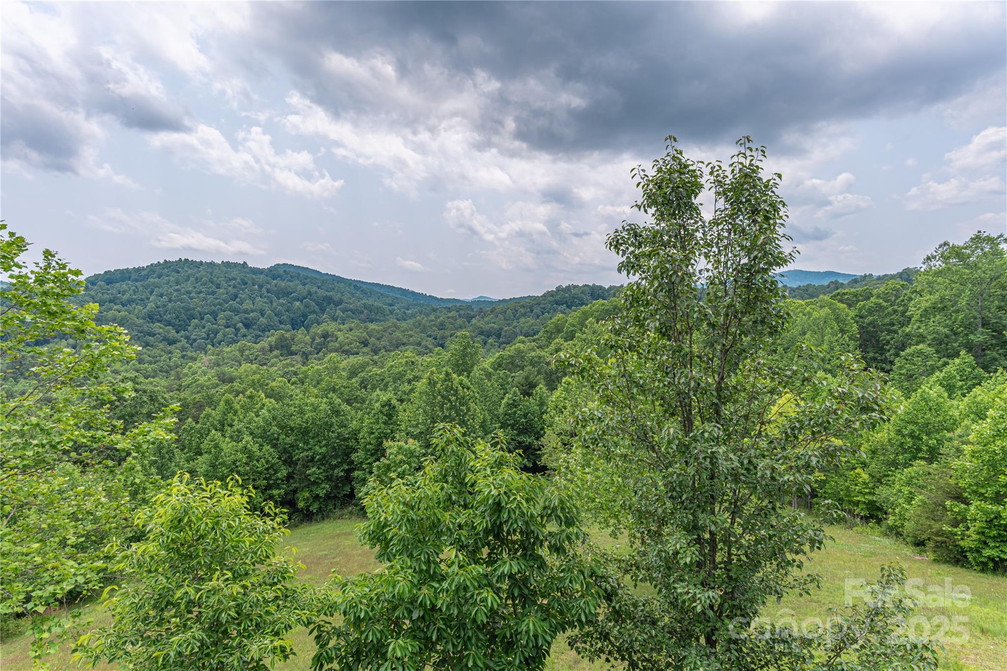 930 Big Raven Lane Property Photo 5