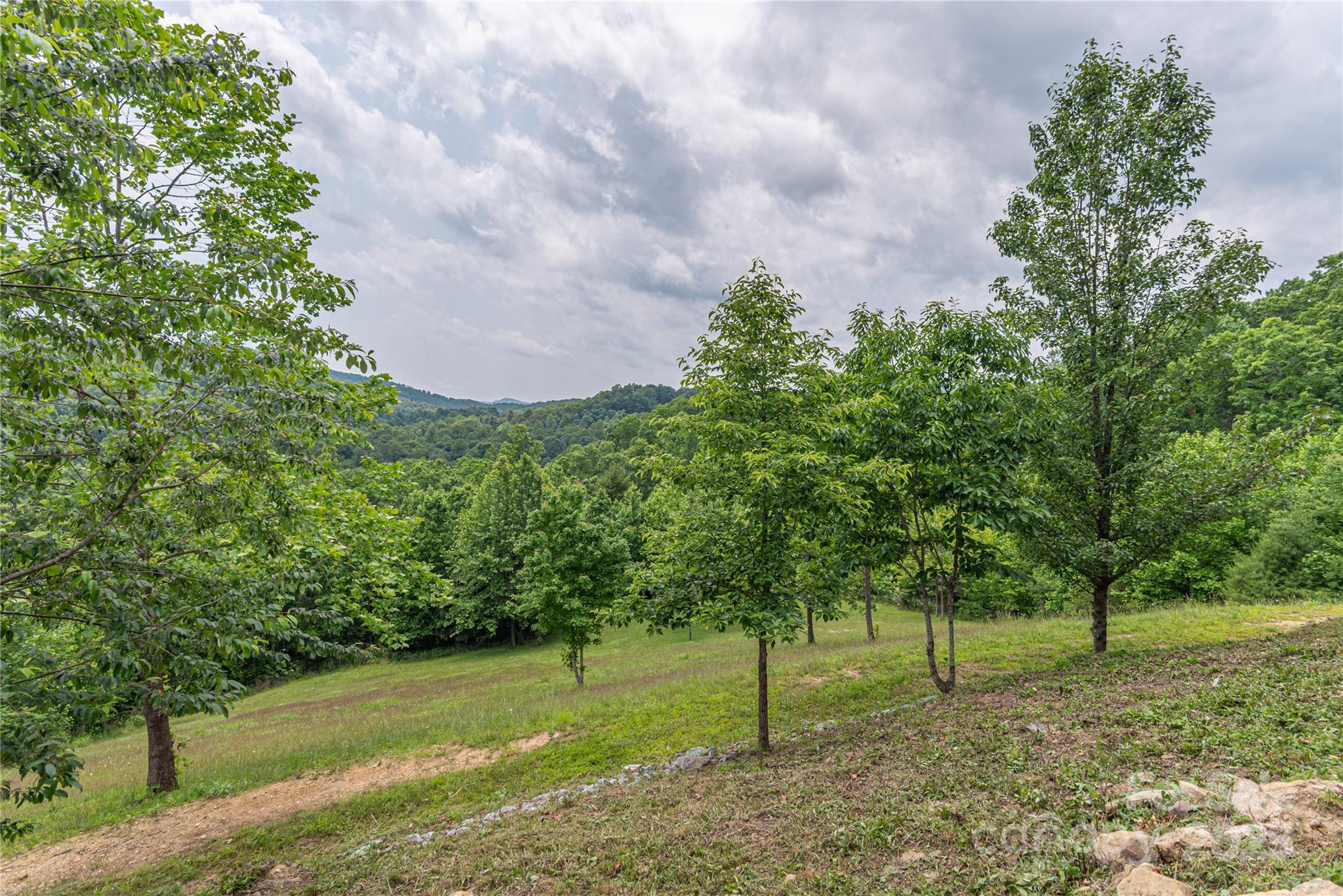 930 Big Raven Lane Property Photo 31