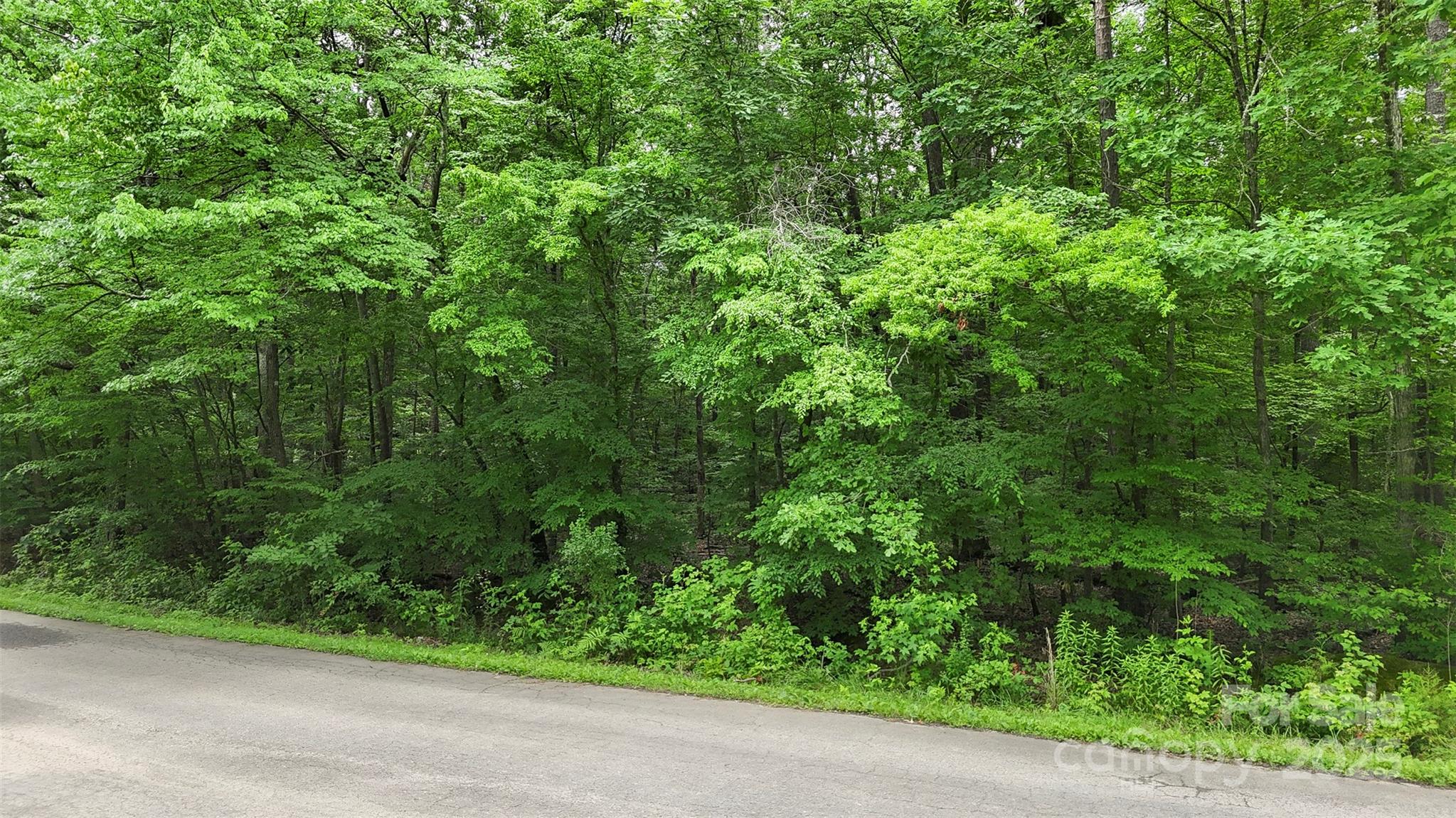 #24 Moser Circle Property Photo 10