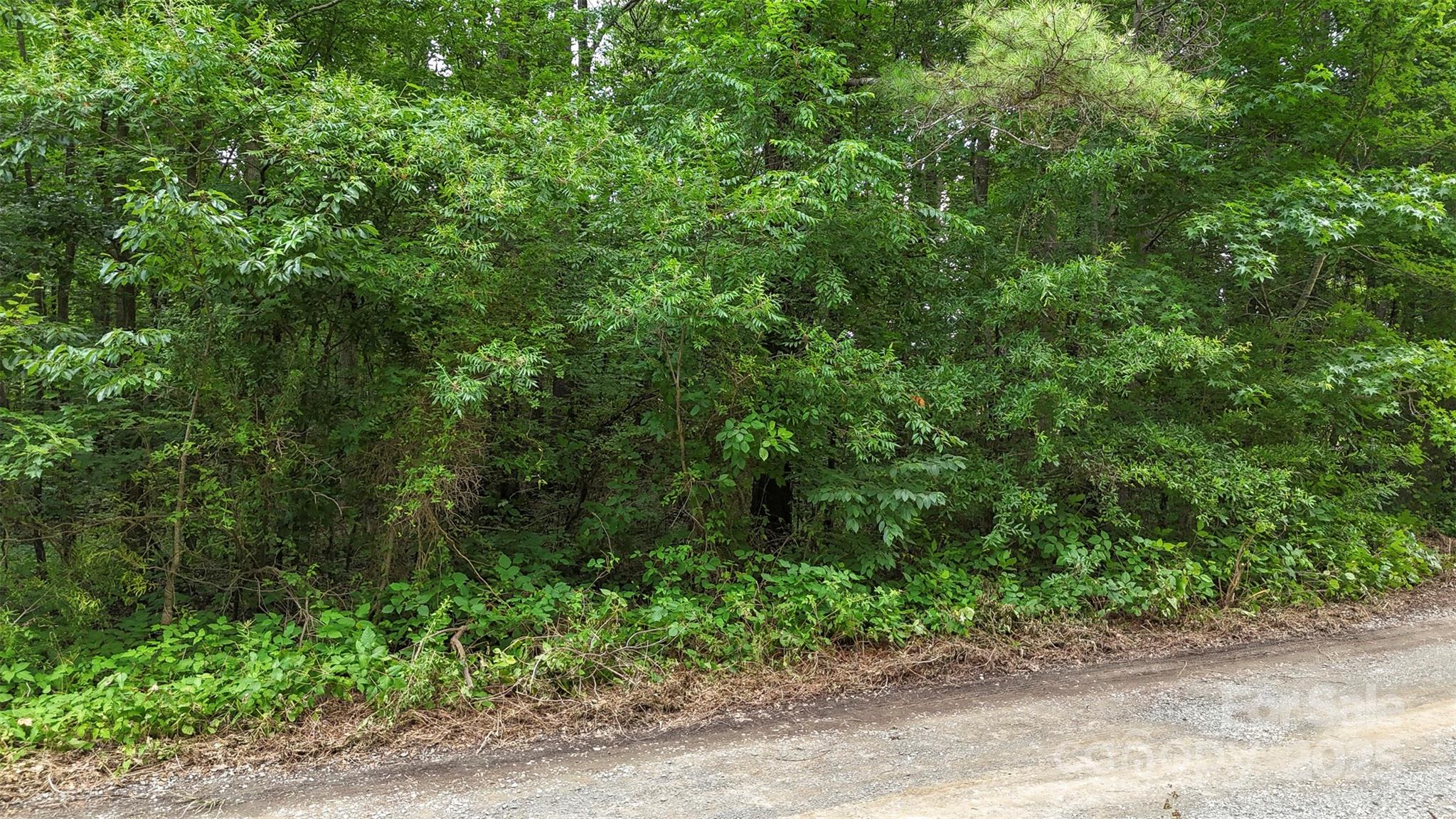#24 Moser Circle Property Photo 13