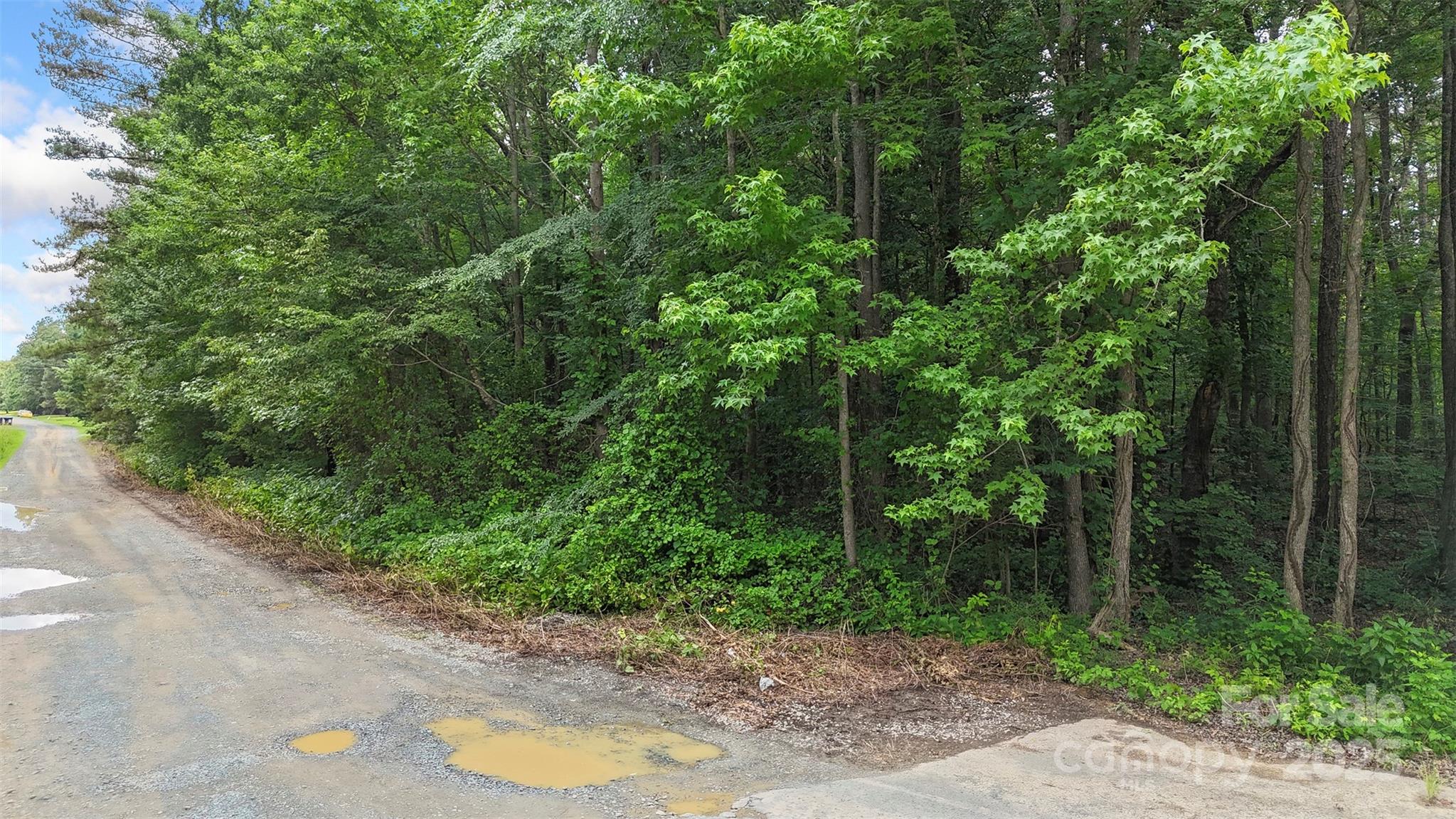 #24 Moser Circle Property Photo 14