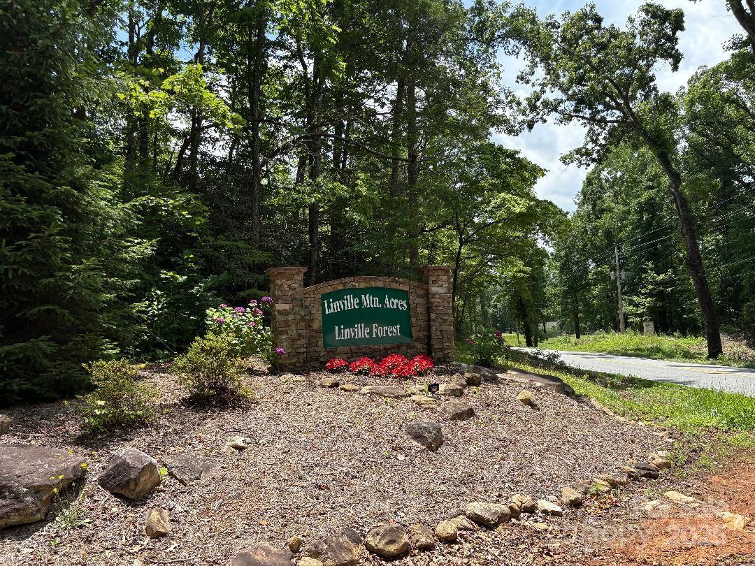 Lot 34 N Oakwood Drive Property Photo 2