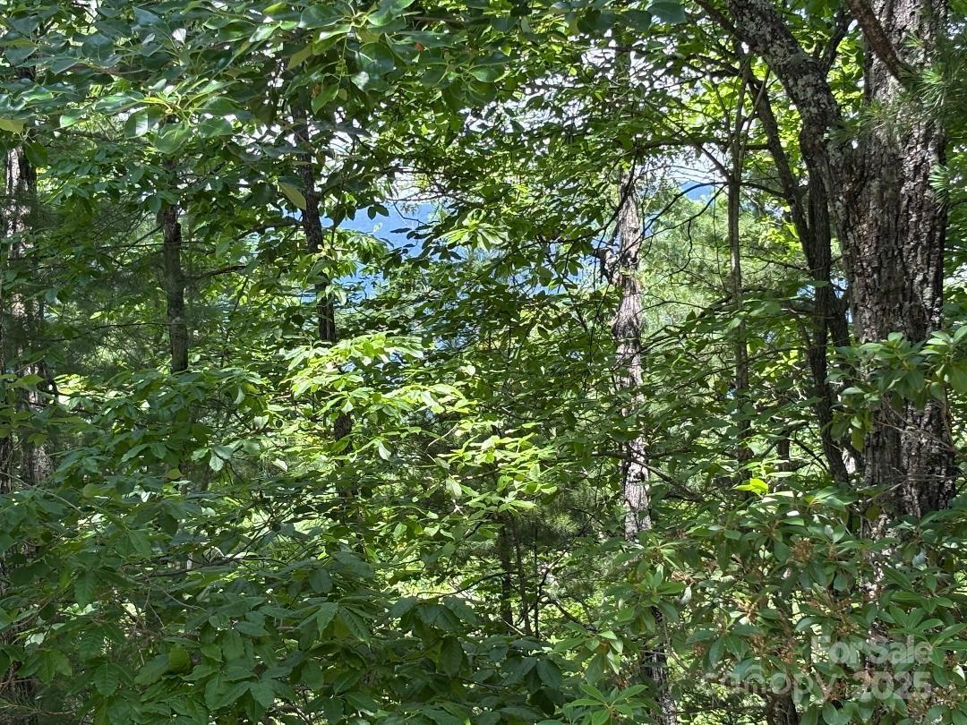Lot 34 N Oakwood Drive Property Photo 7